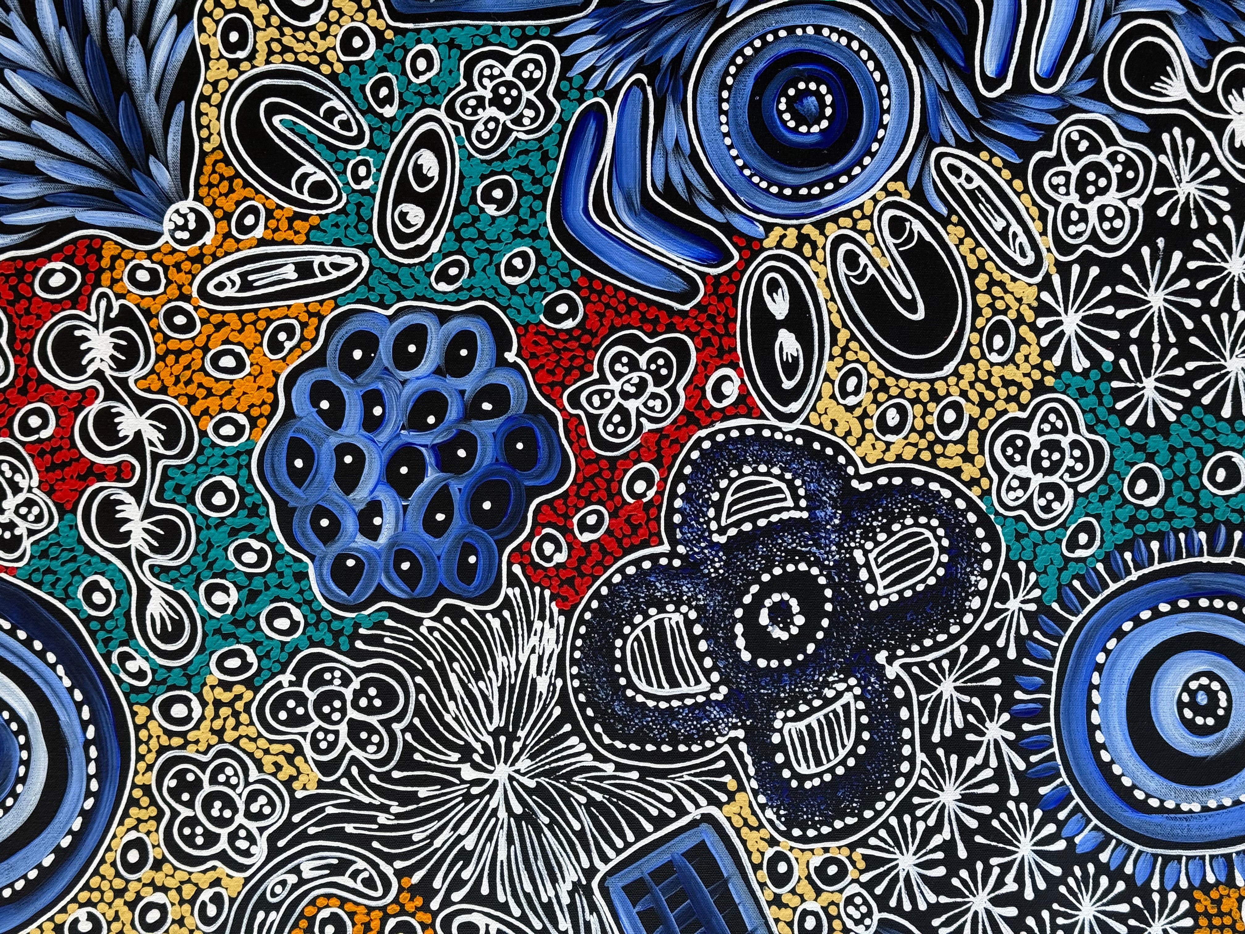 Sharon Numina - My Country Dreaming .95-6