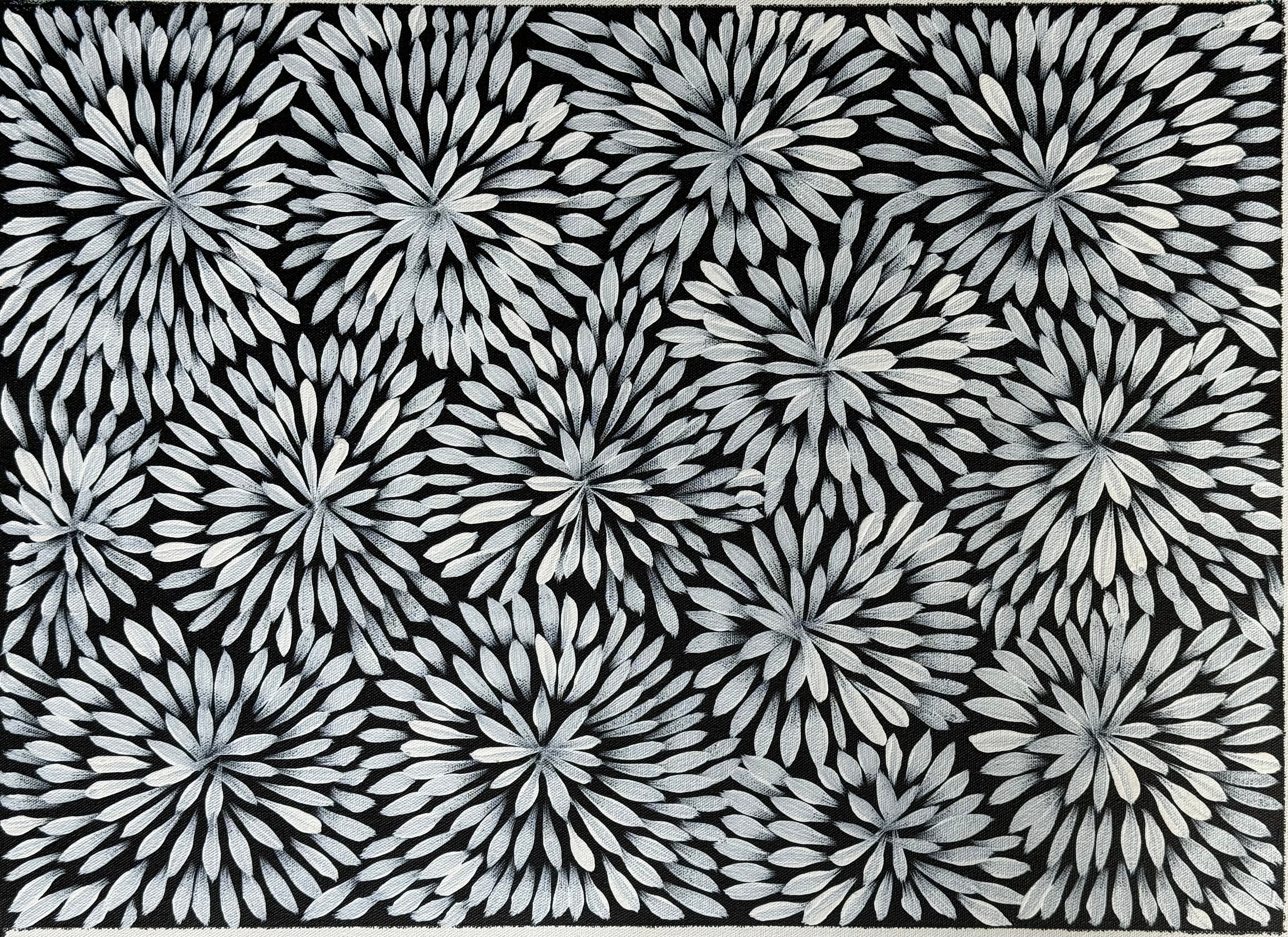 Sharon Numina - Bush Medicine Flowers .14-63