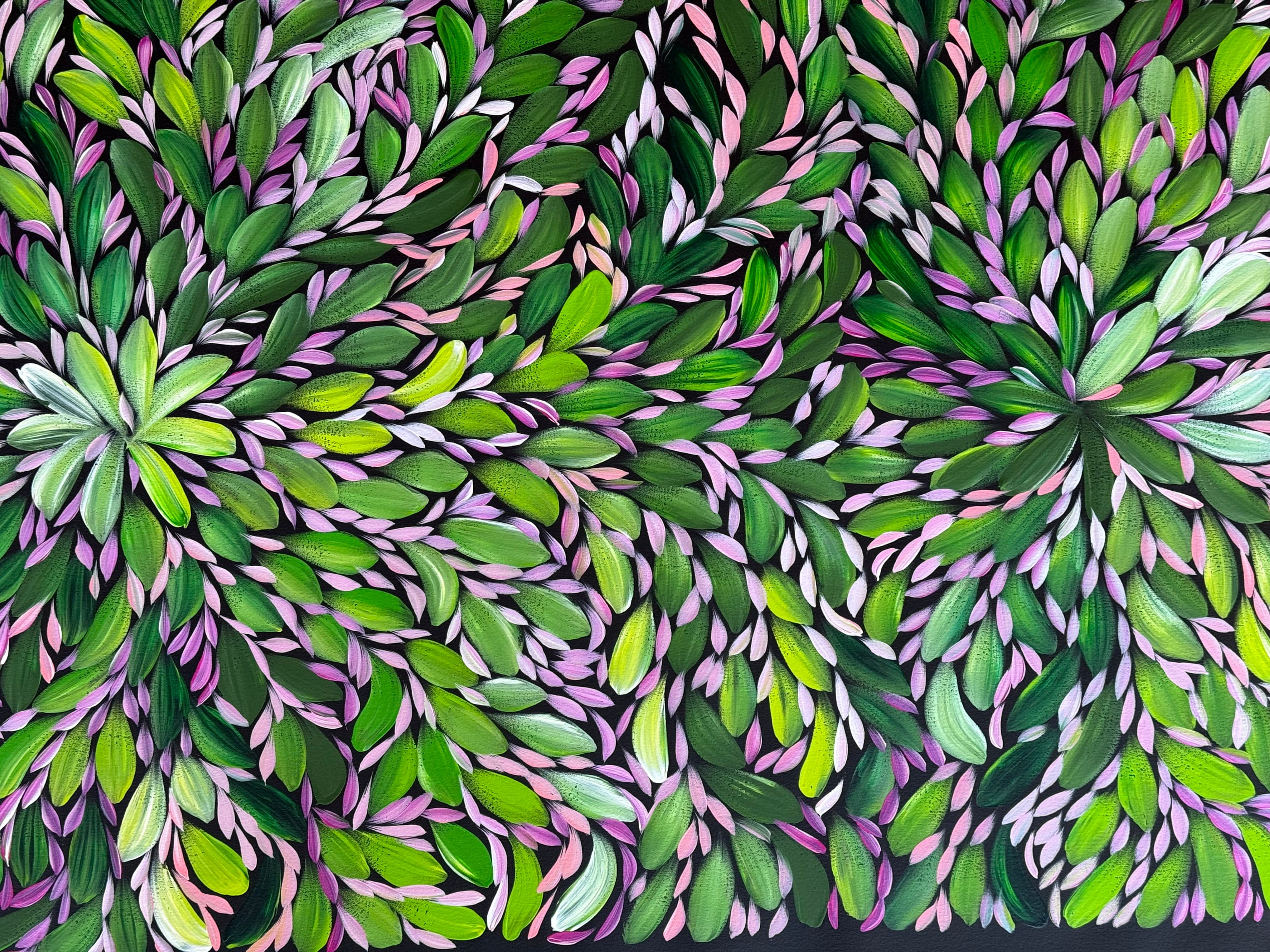 Louise Numina Napananka - Bush Medicine Leaves - 203x89cm .23-12