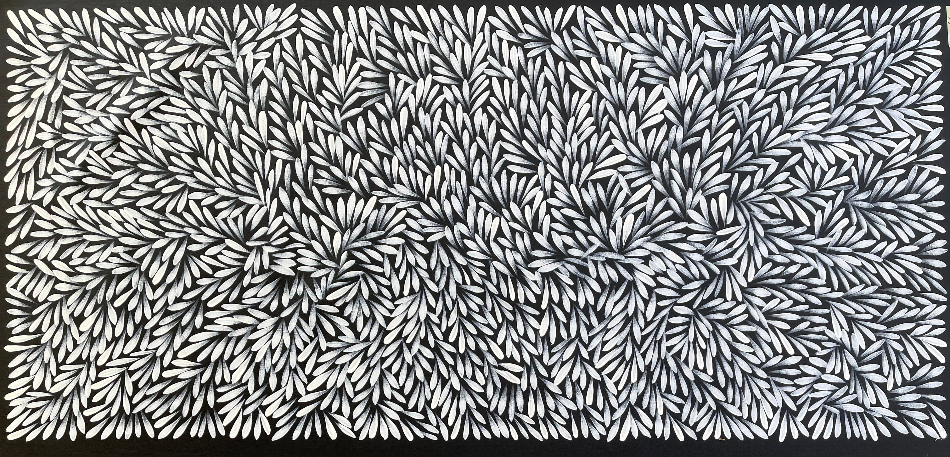 Sharon Numina - Bush Medicine Leaves - 143x66 .28-23