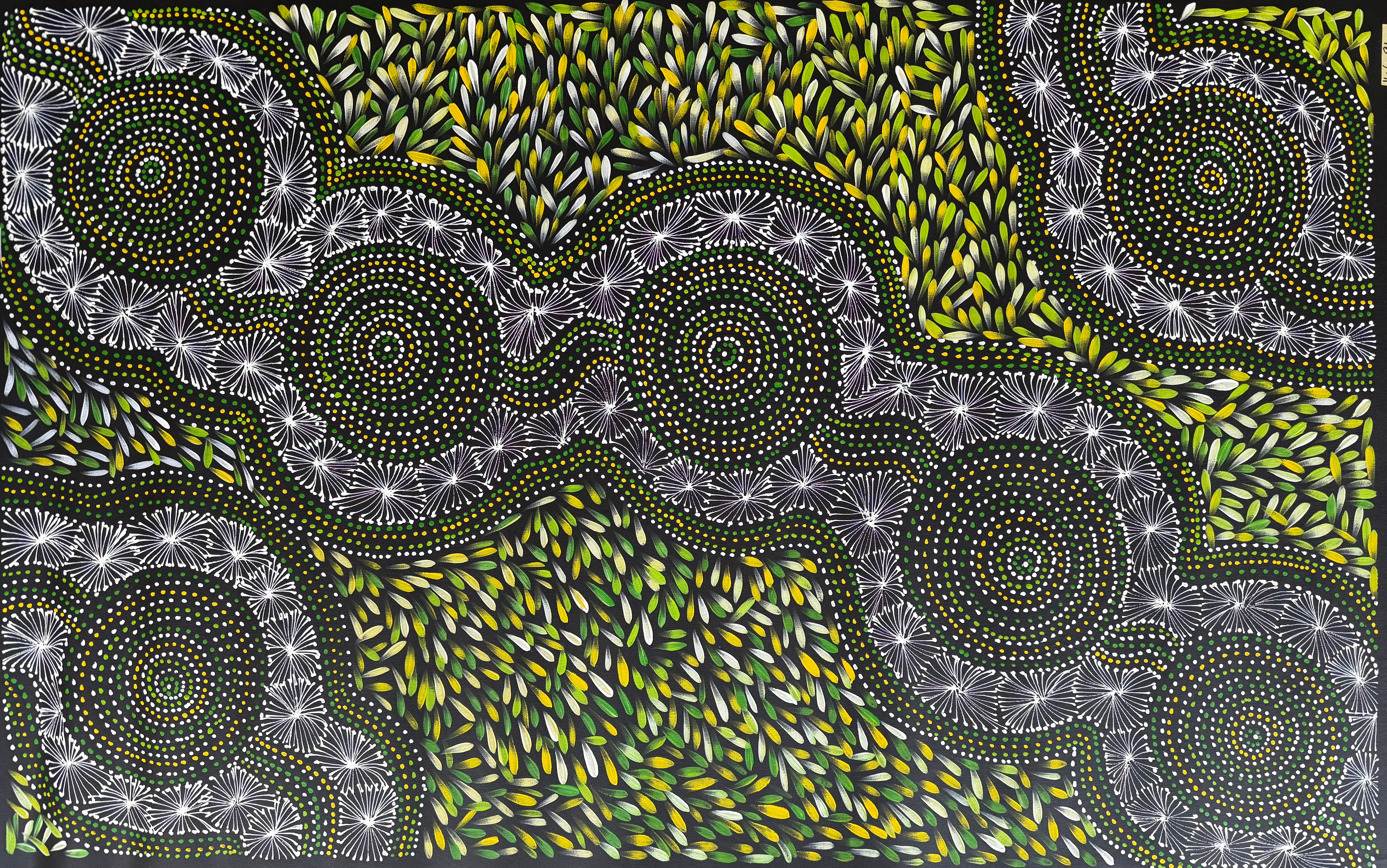 Selina Numina Kamprina - Seeds and Waterholes .92-13