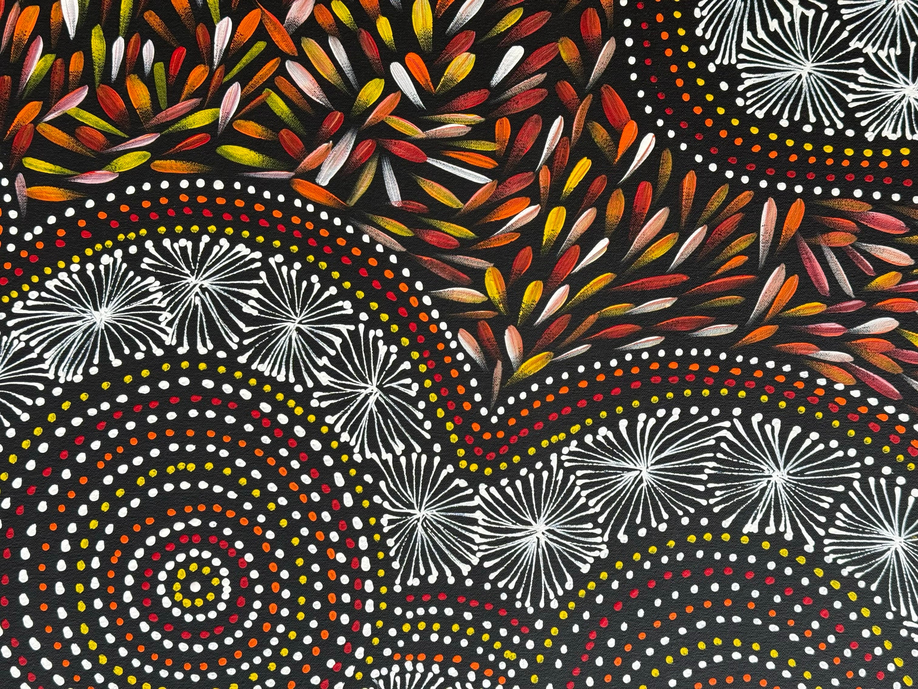 Selina Numina Kamprina - Seeds and Waterholes .44-4