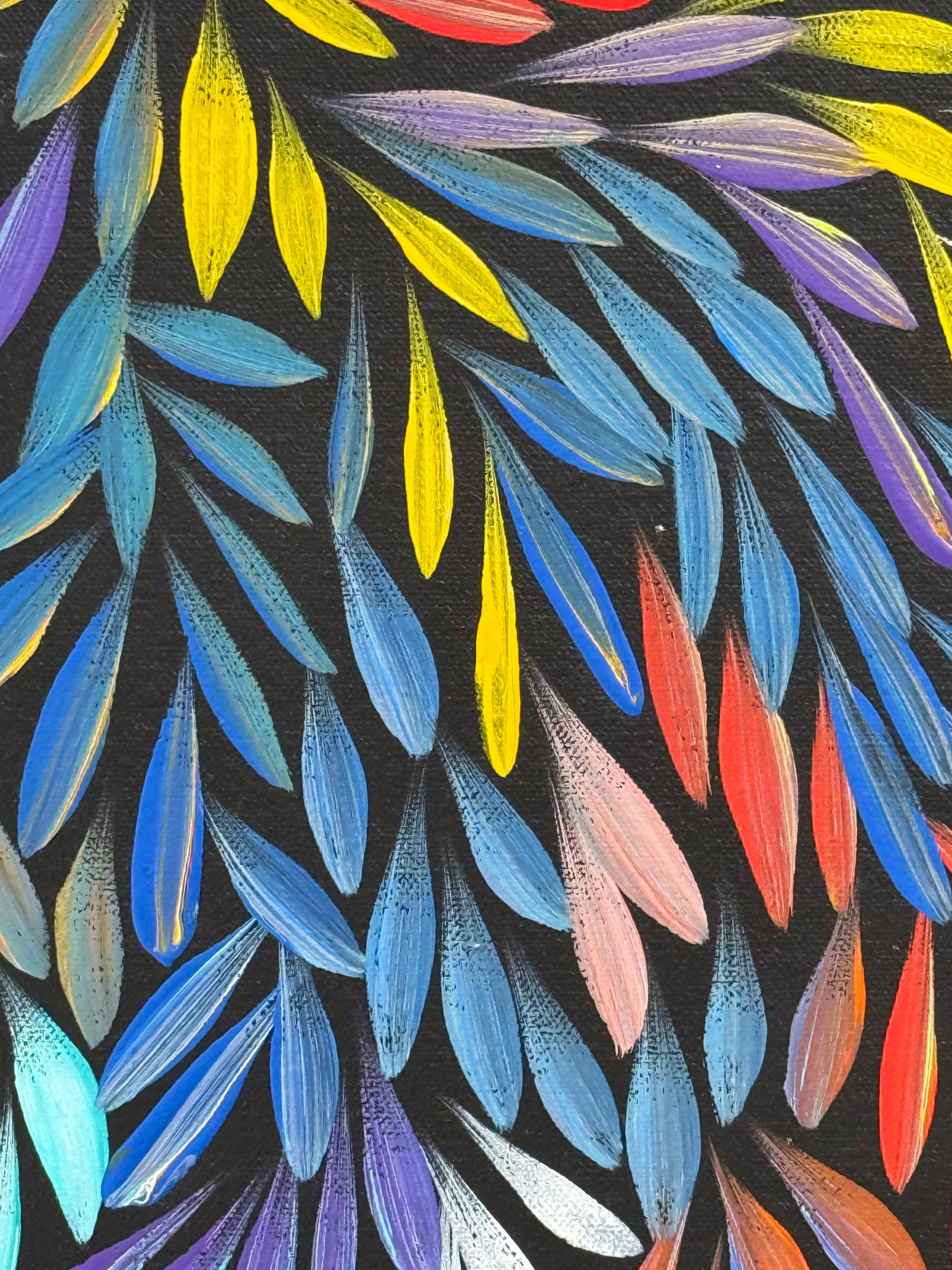 Sharon Numina - Bush Medicine Leaves - 63x63cm .02-22