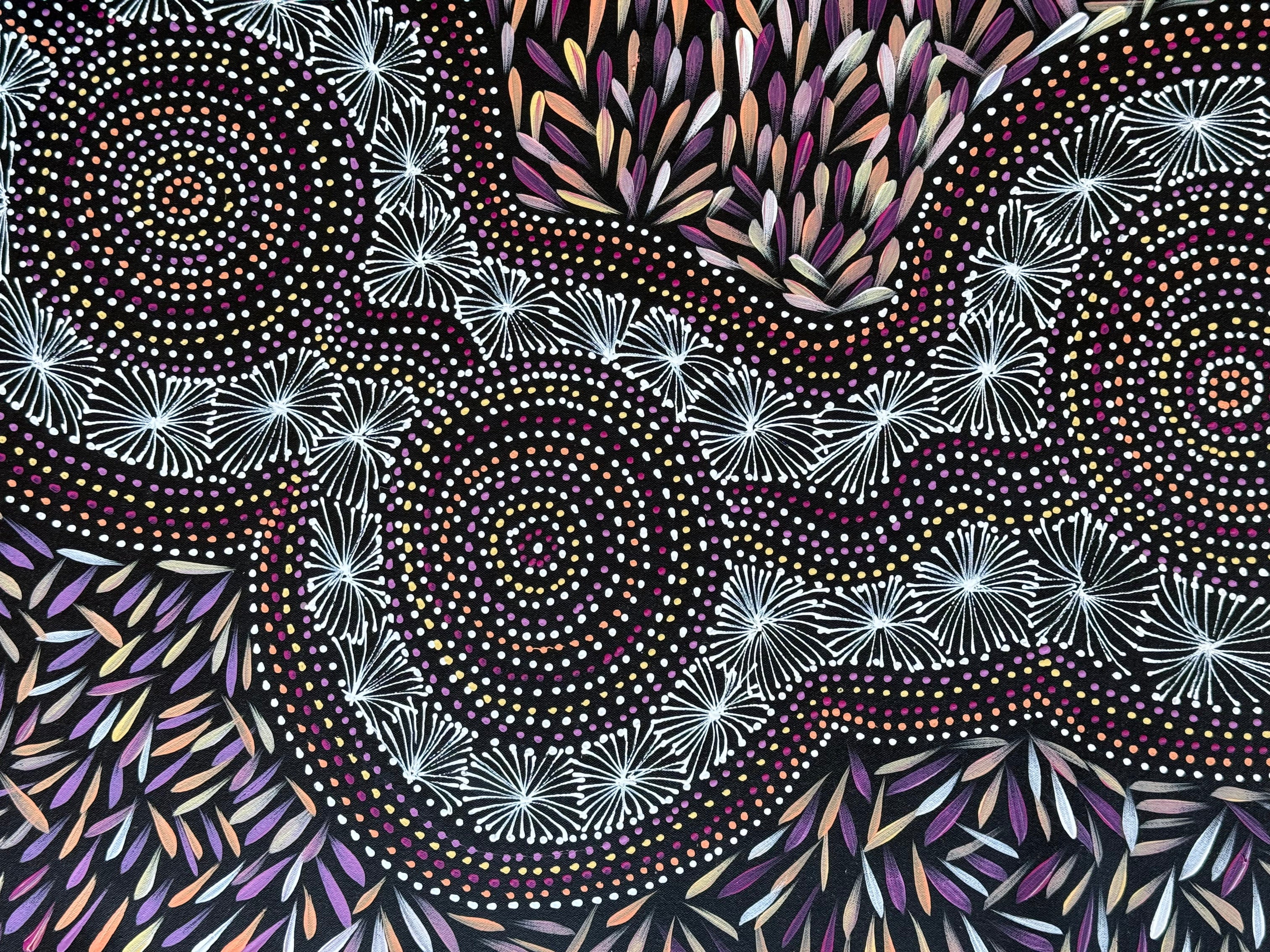 Selina Numina Kamprina - Bush Medicine Leaves with Spinifex Grass - 133x56cm .37-3