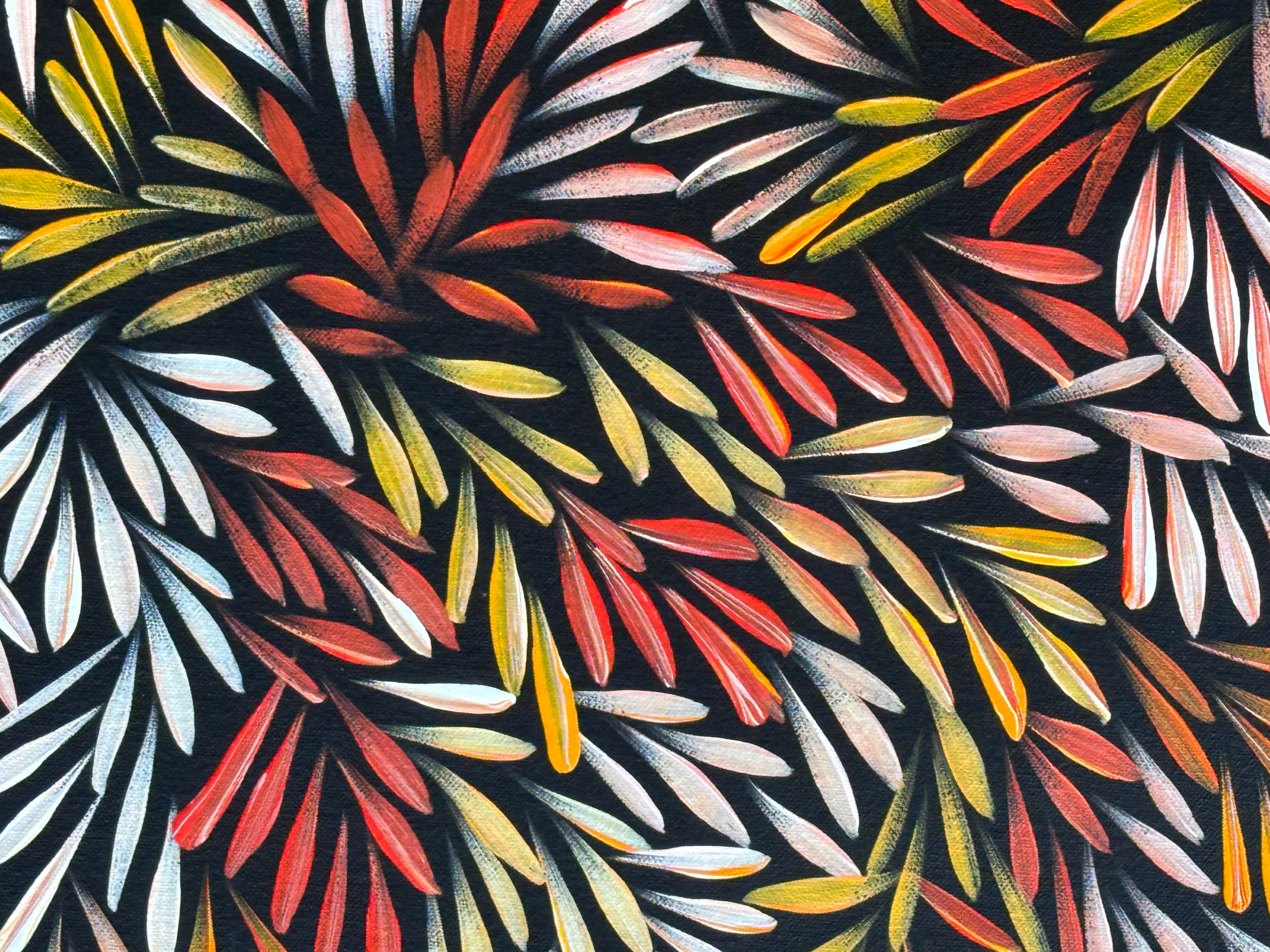 Sharon Numina - Bush Medicine Seeds .50-9