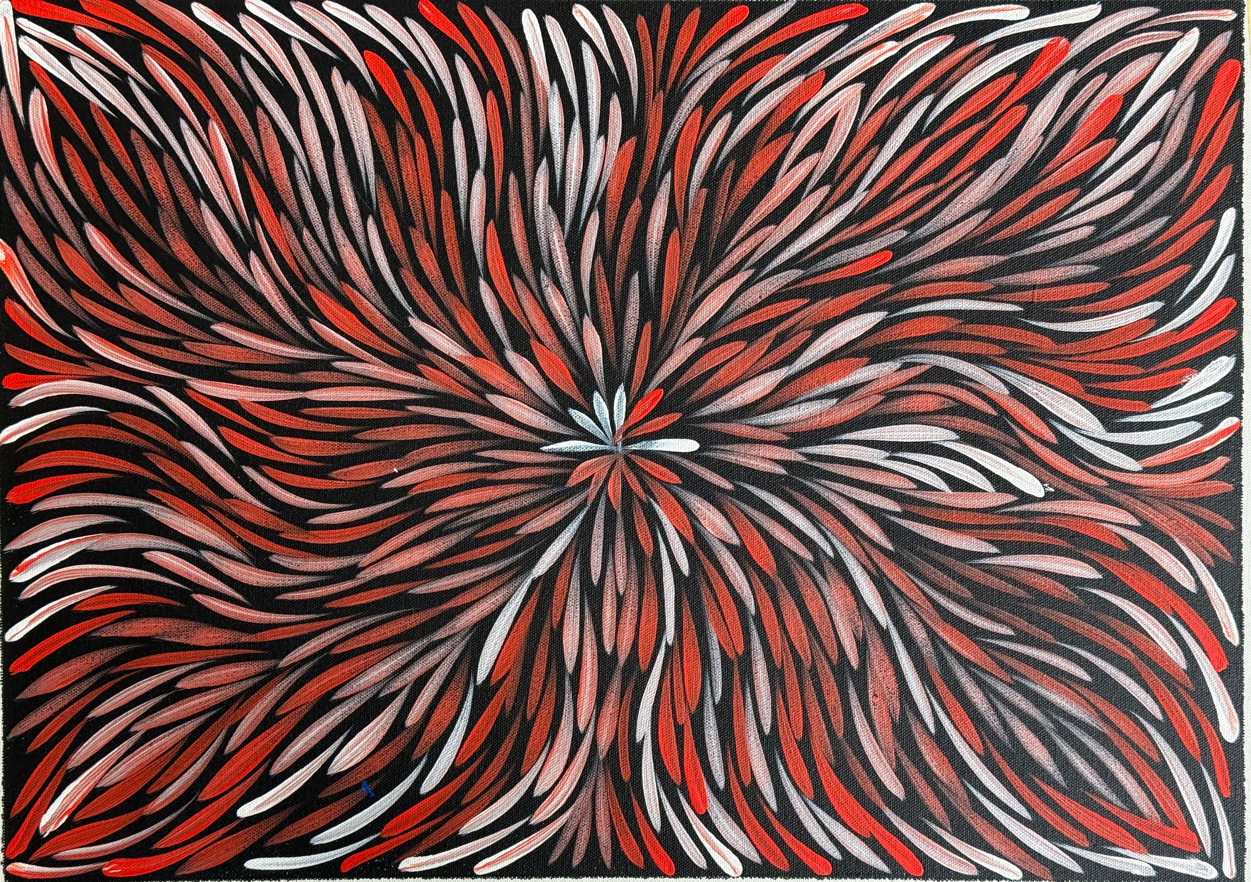 Sharon Numina - Bush Medicine Leaves .14-16