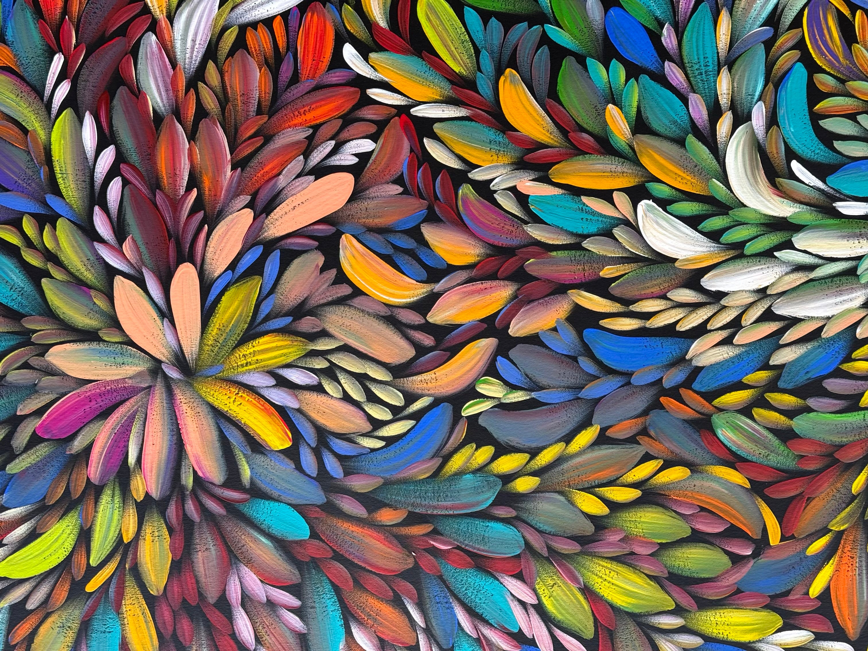 Louise Numina Napananka - Bush Medicine Leaves .41-23