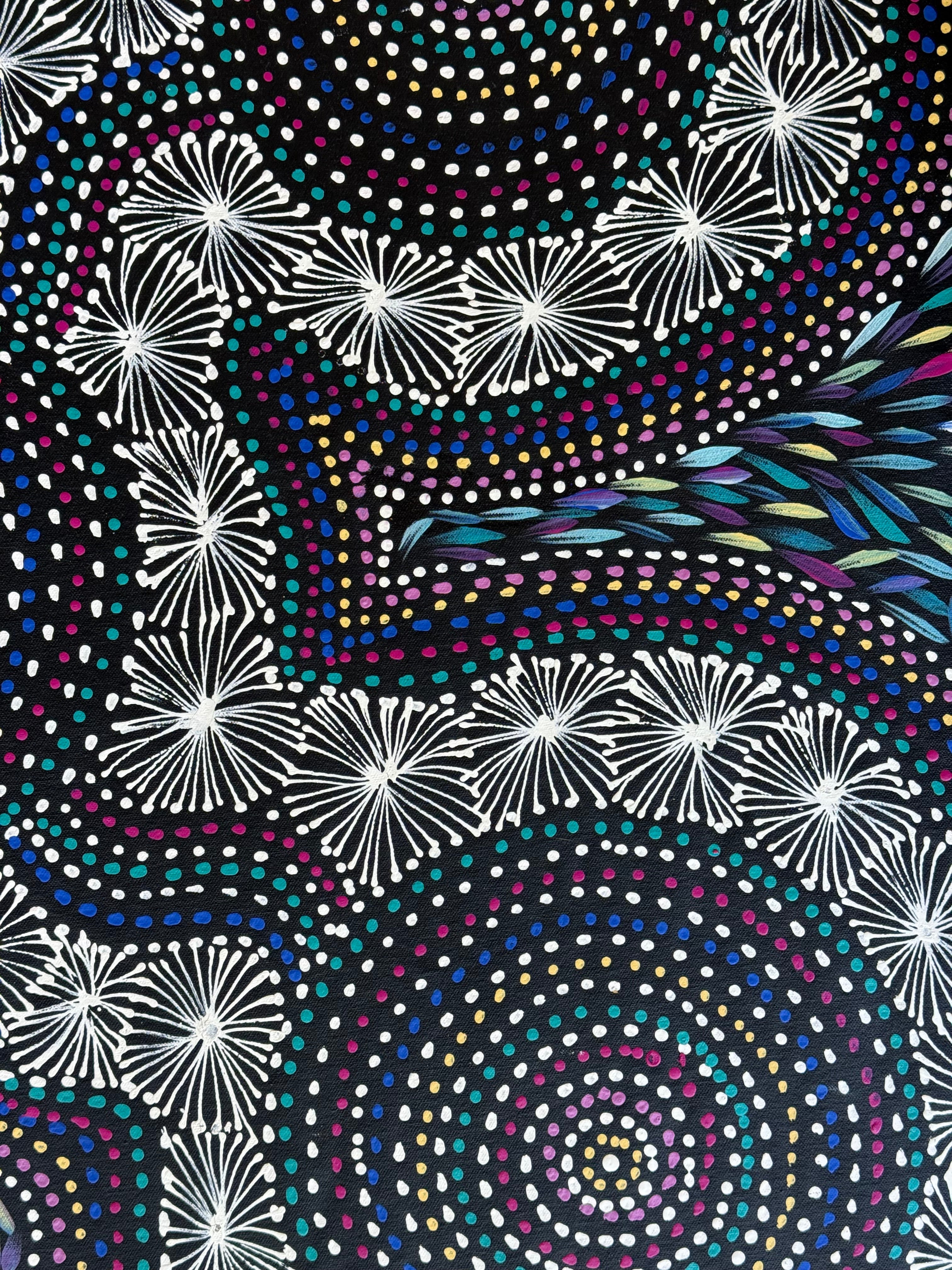 Selina Numina Kamprina - Seeds and Waterholes .92-17