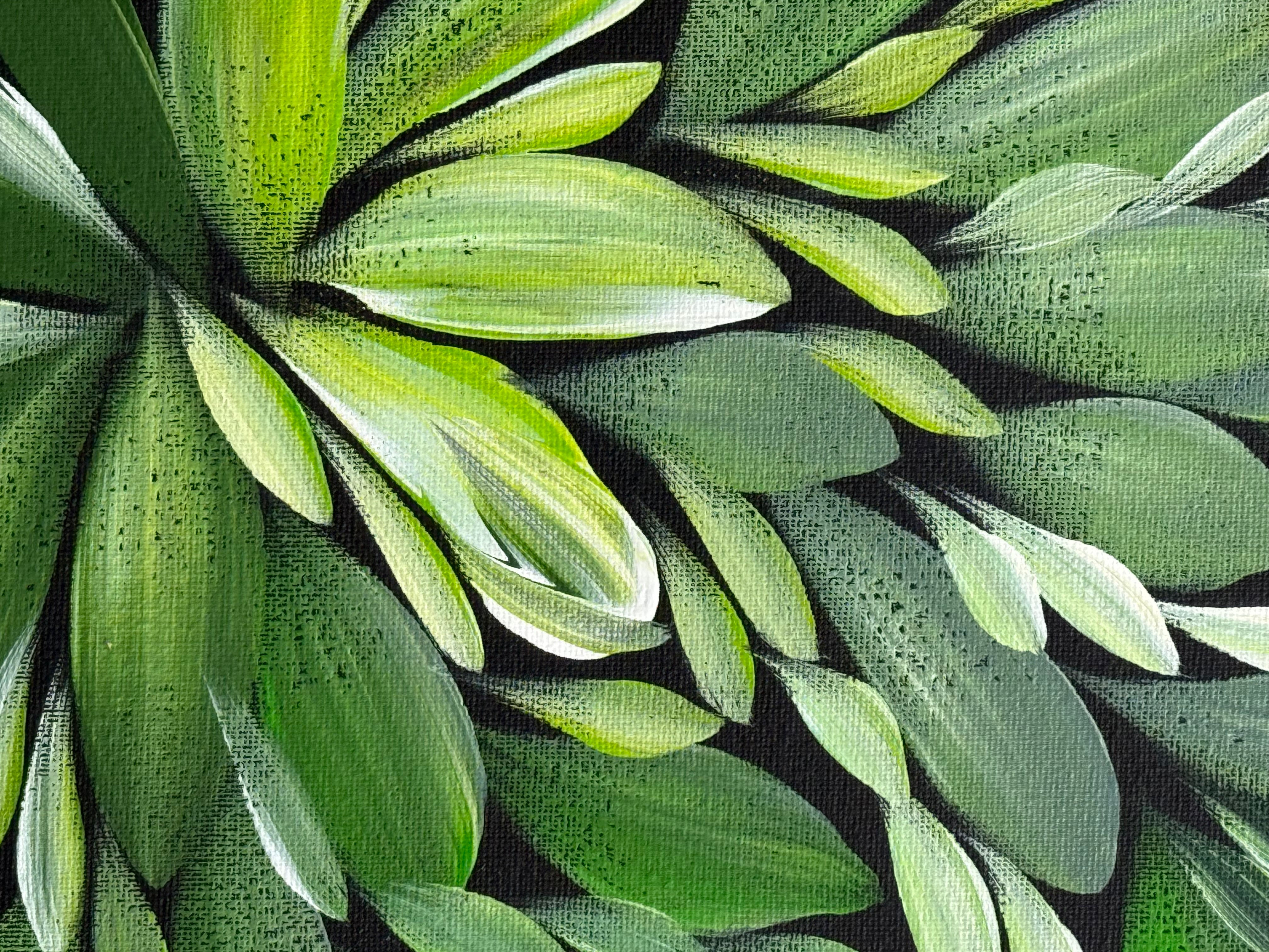 Louise Numina Napananka - Bush Medicine Leaves .19-21