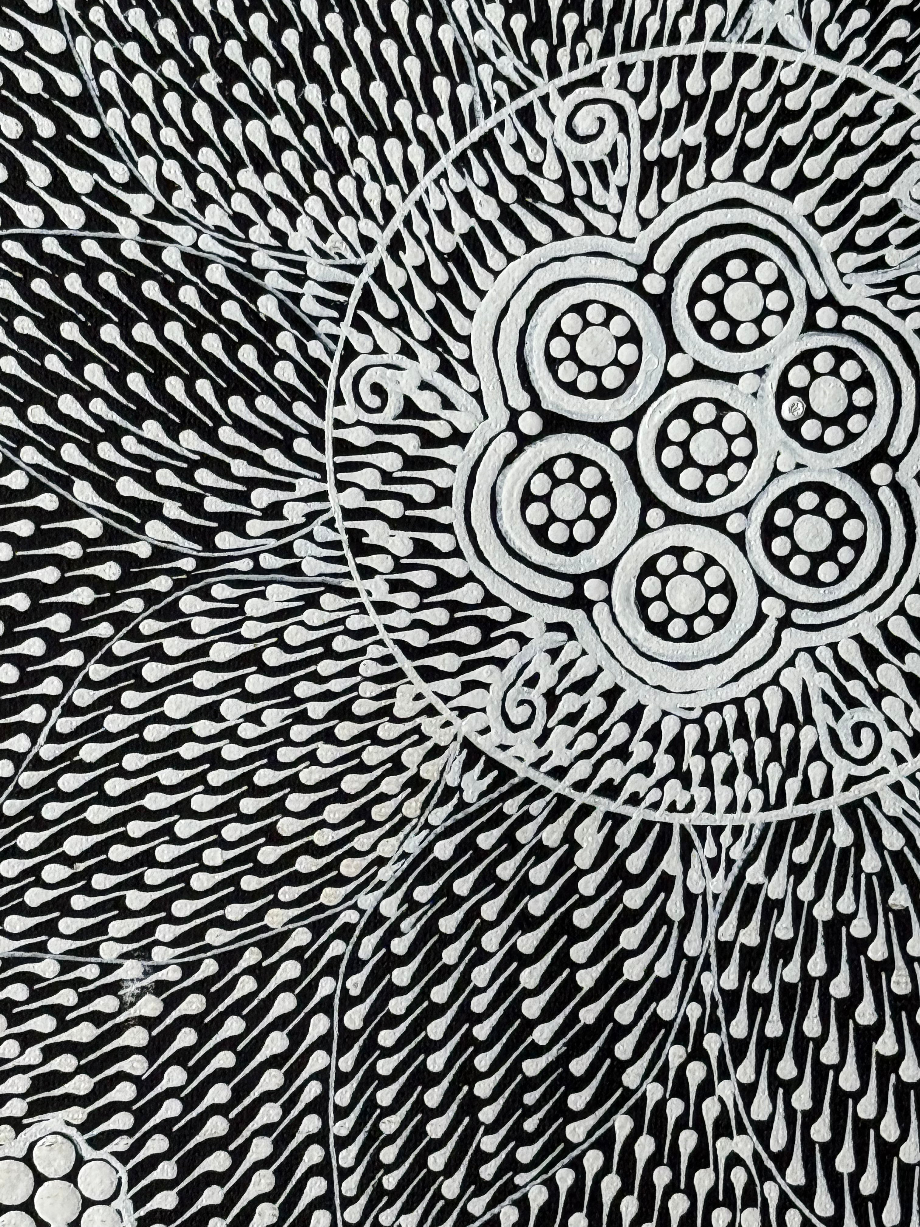 Annisah Nakamarra Leo - Nguru Yurntumu-wana (Country around Yuendumu) - Stretched