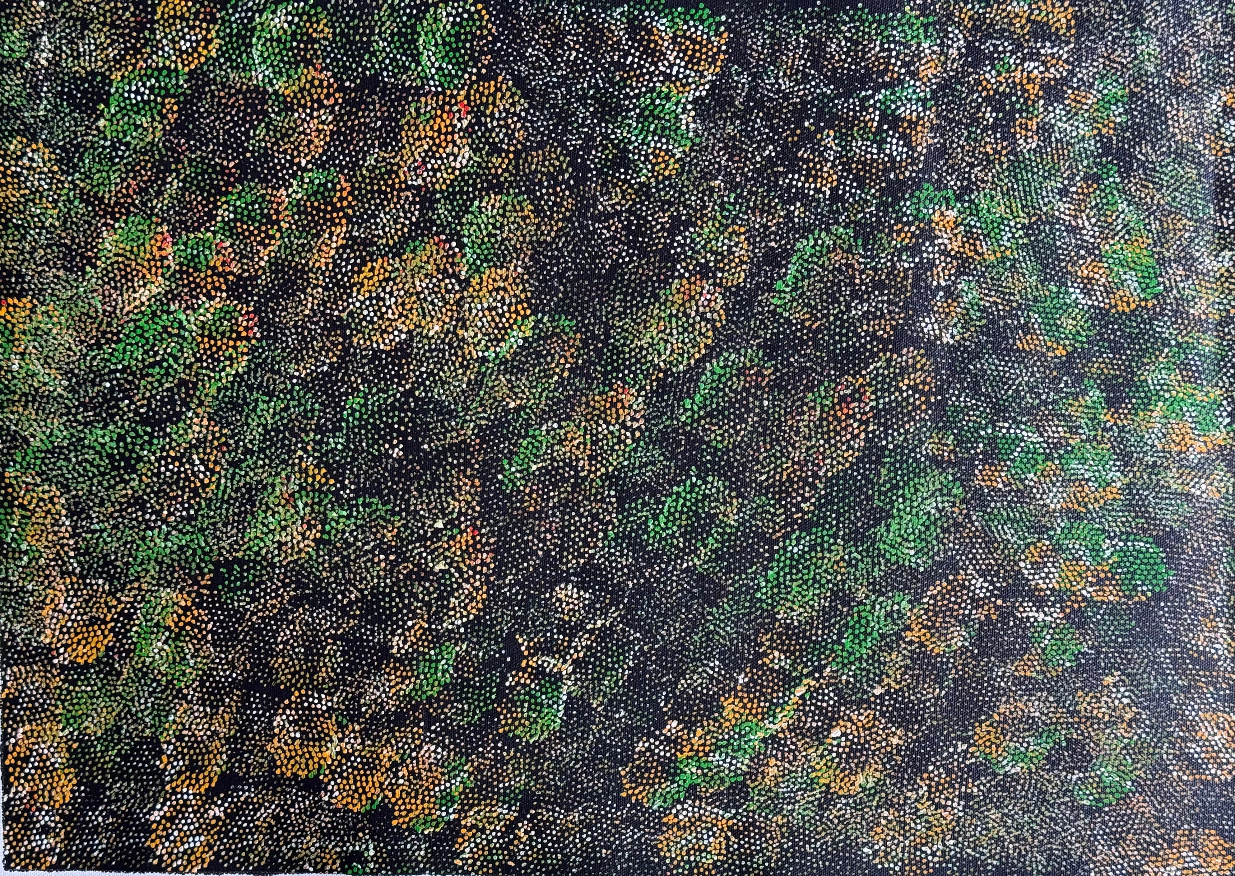 Lanita Numina - Thorny Lizard .15-16