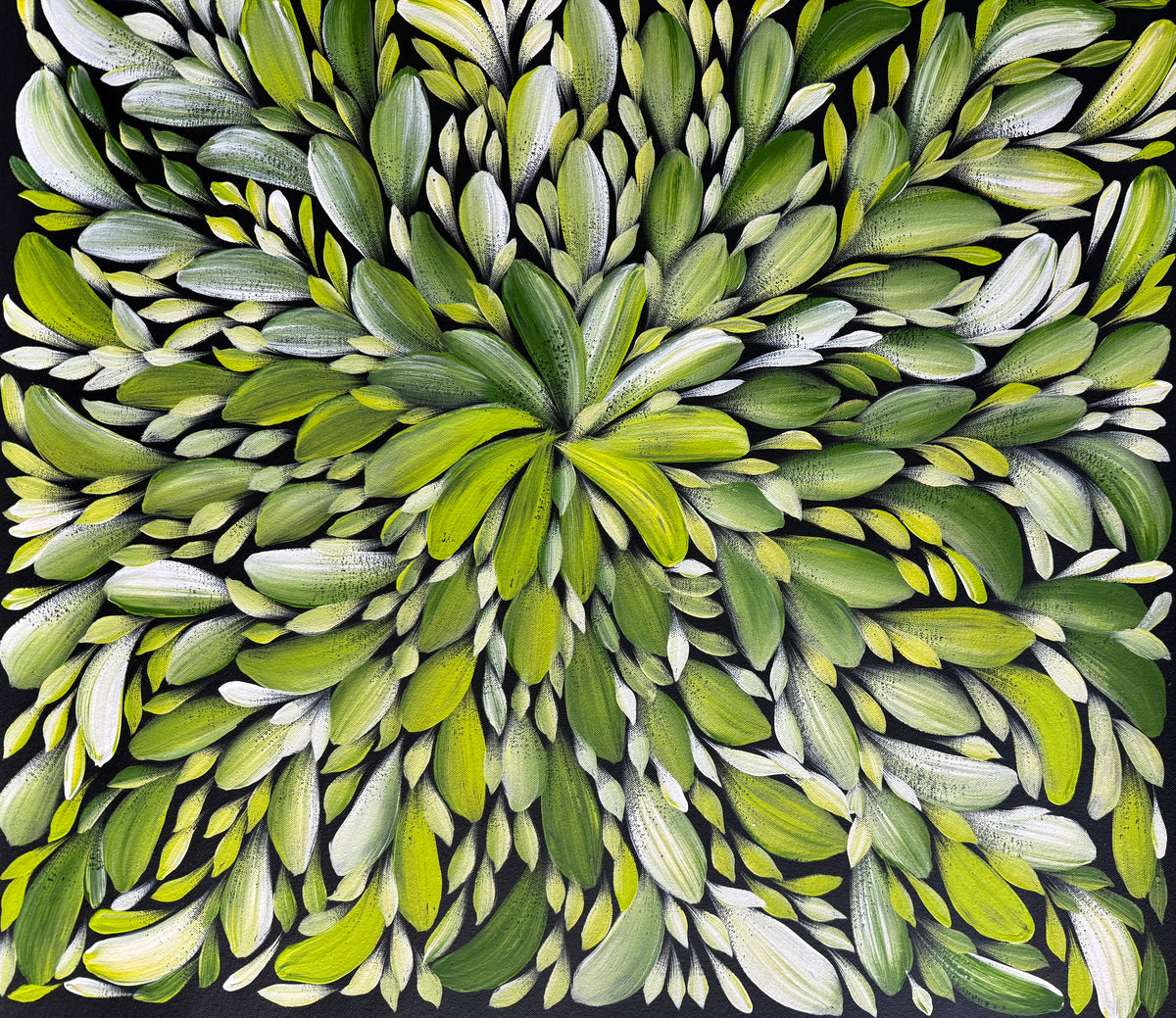 Louise Numina Napananka - Bush Medicine Leaves .43-9