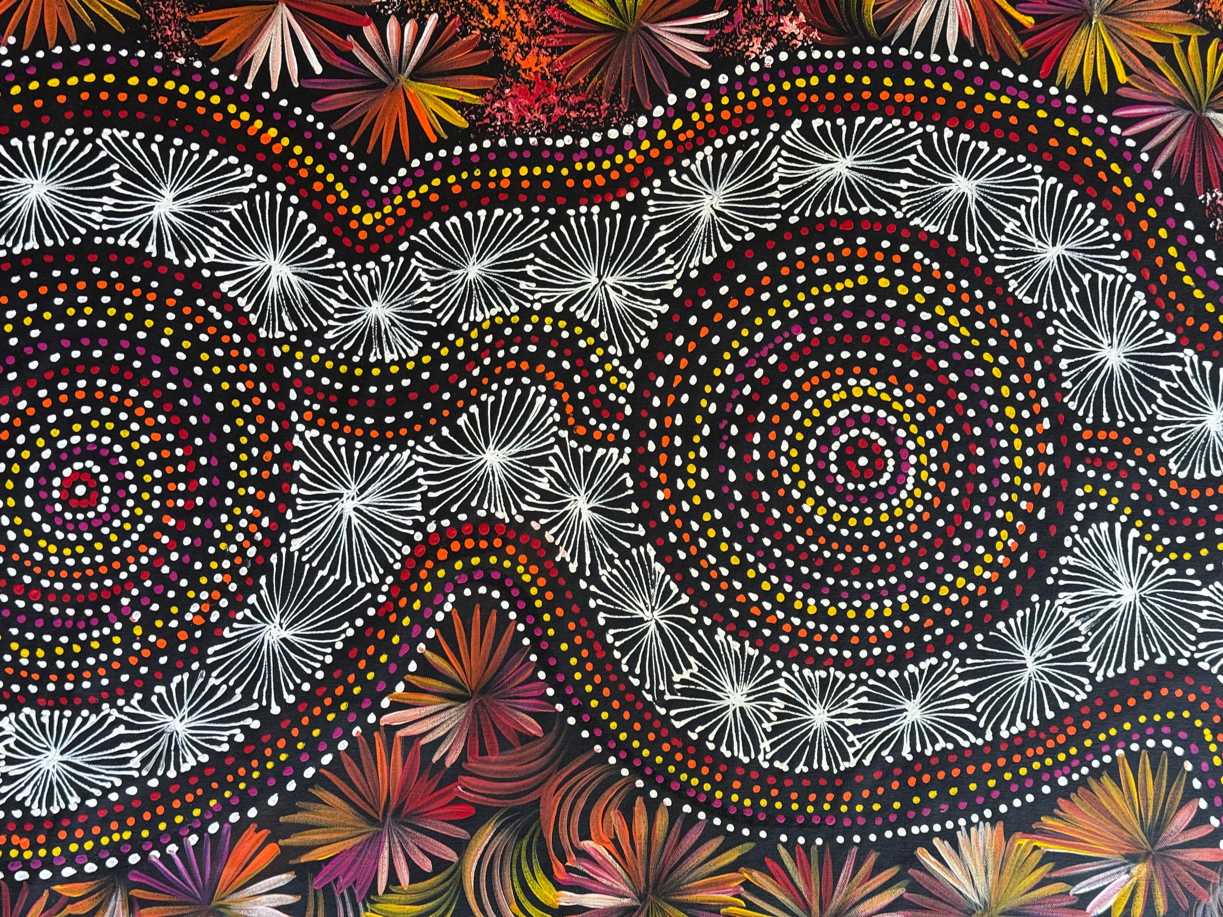 Selina Numina Kamprina - Seeds and Waterholes .92-23