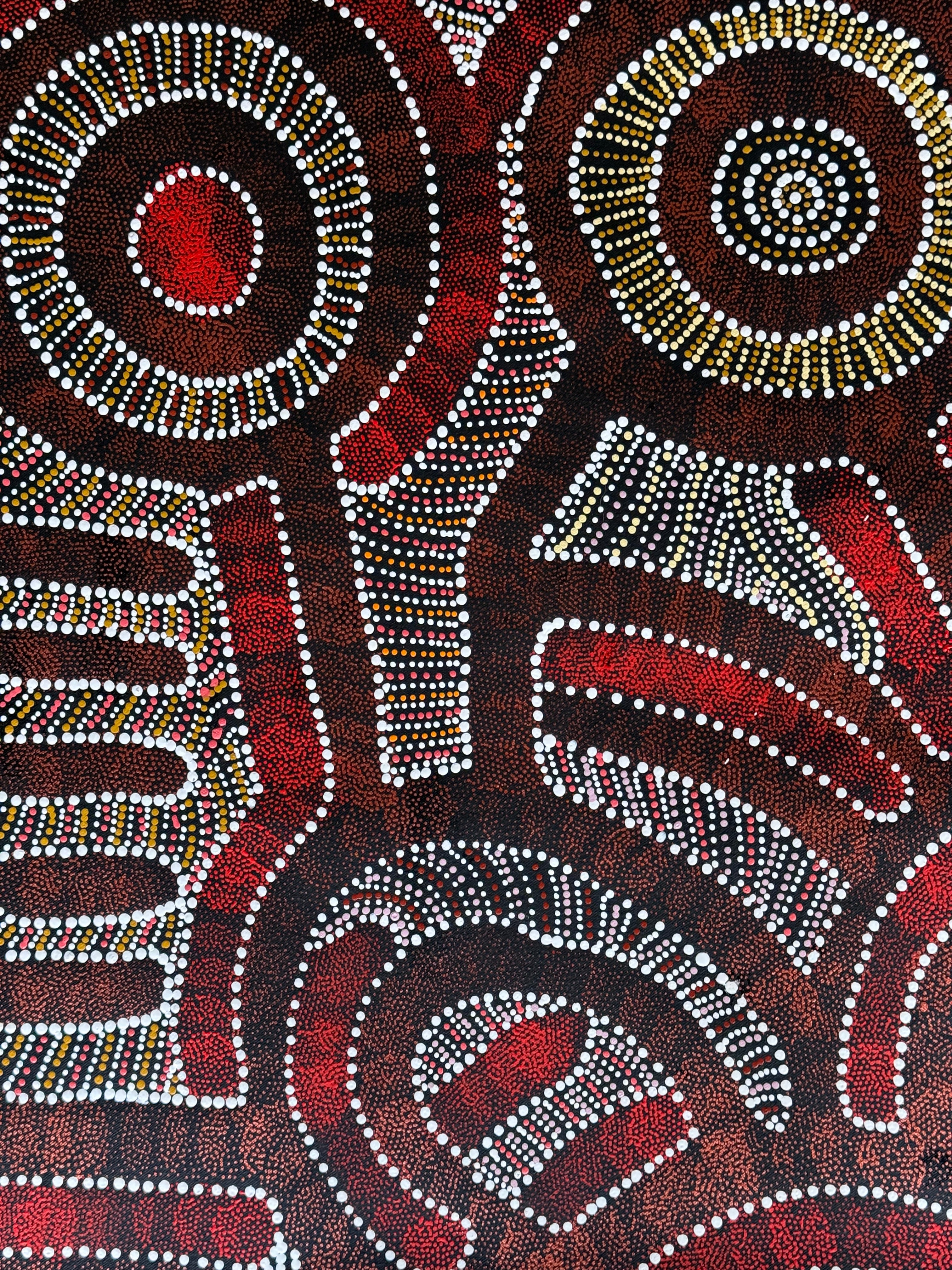 Caroline Numina - My Country, Thorny Lizard Dreaming .35-5