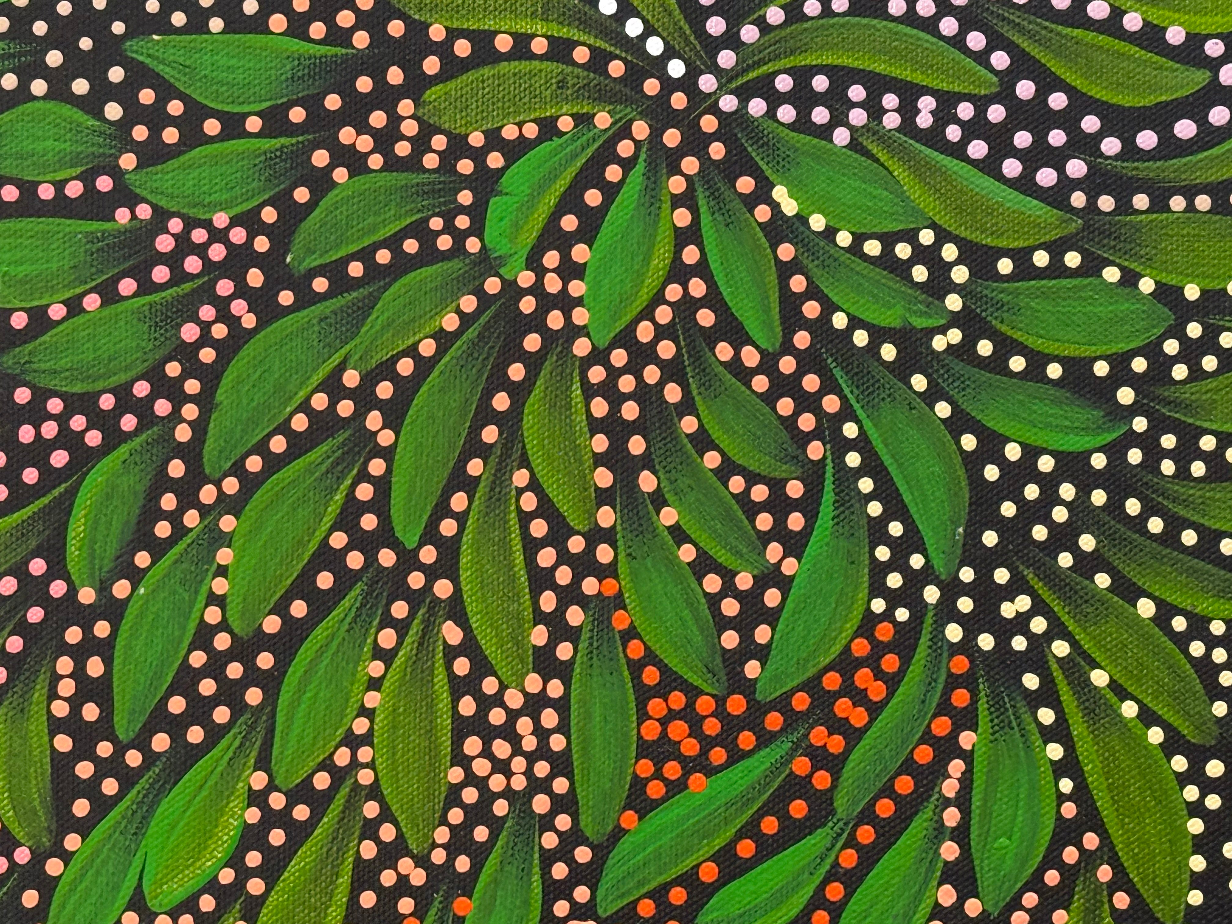 Caroline Numina - Bush Medicine Leaves and Seeds .04-16
