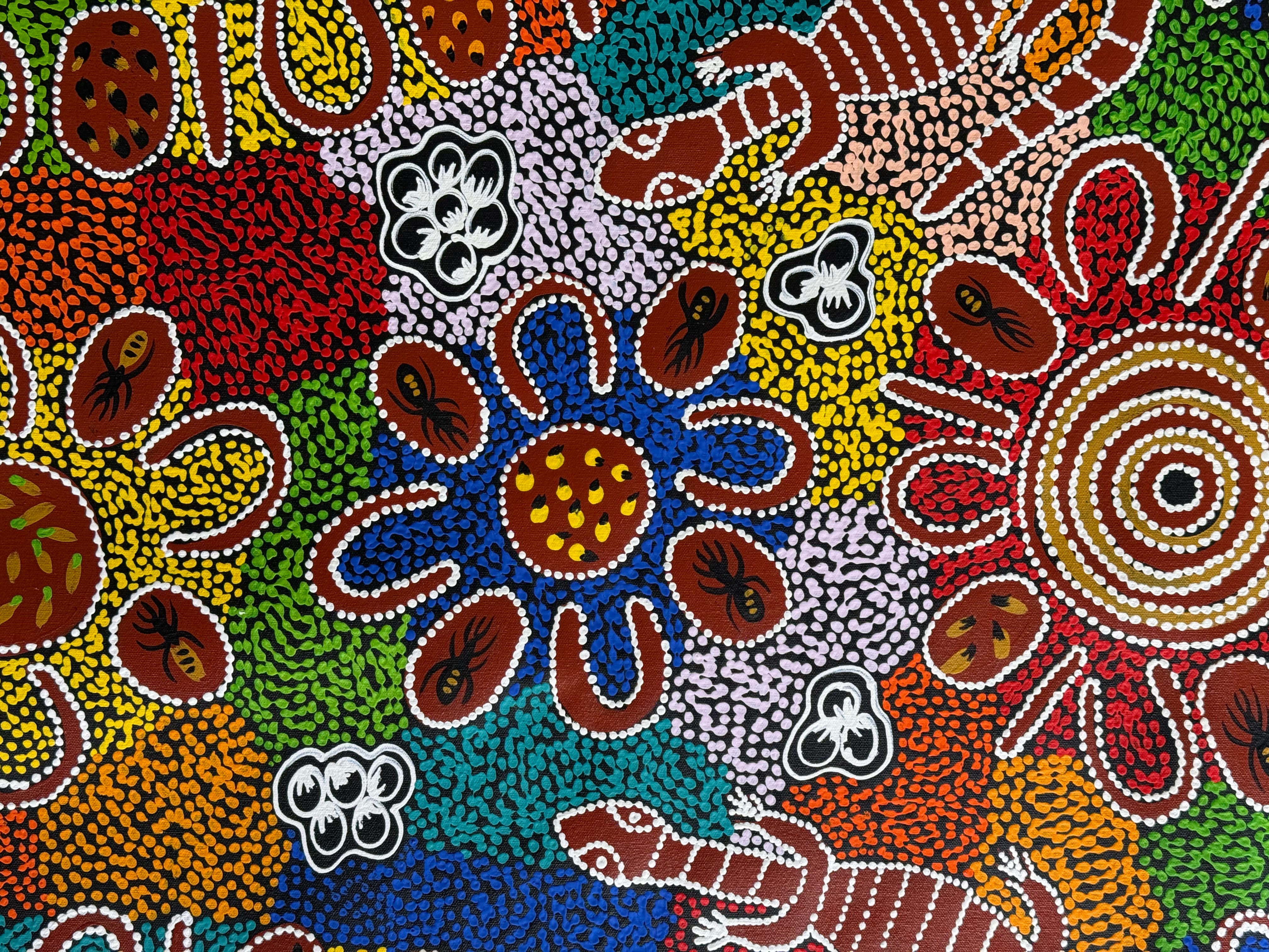 Lanita Numina - Women Collect Bushtuckers .51-6