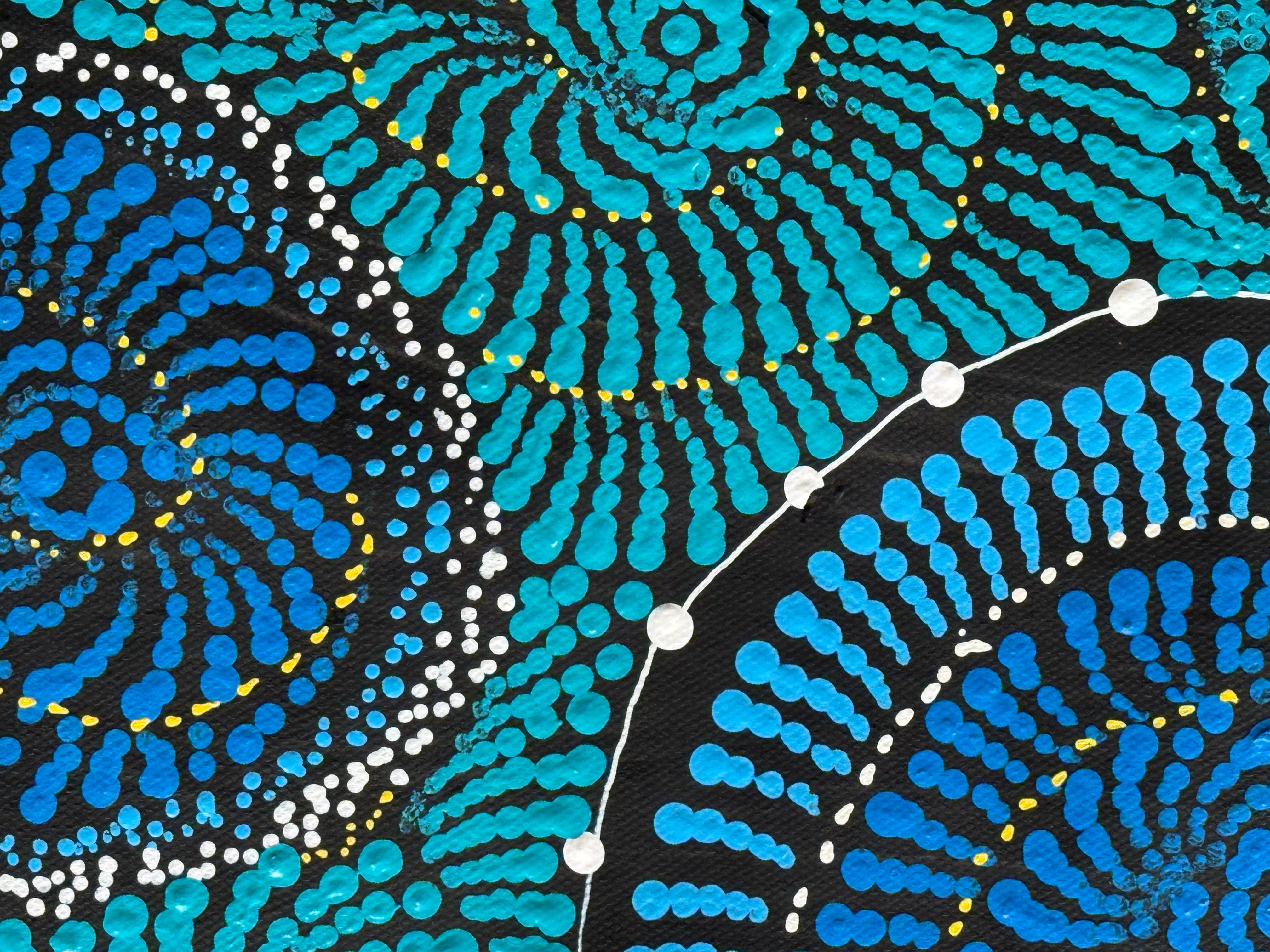 Maria Nampijinpa Brown - Flying Ants Dreaming (Pamapardu Jukurrpa) .78-5