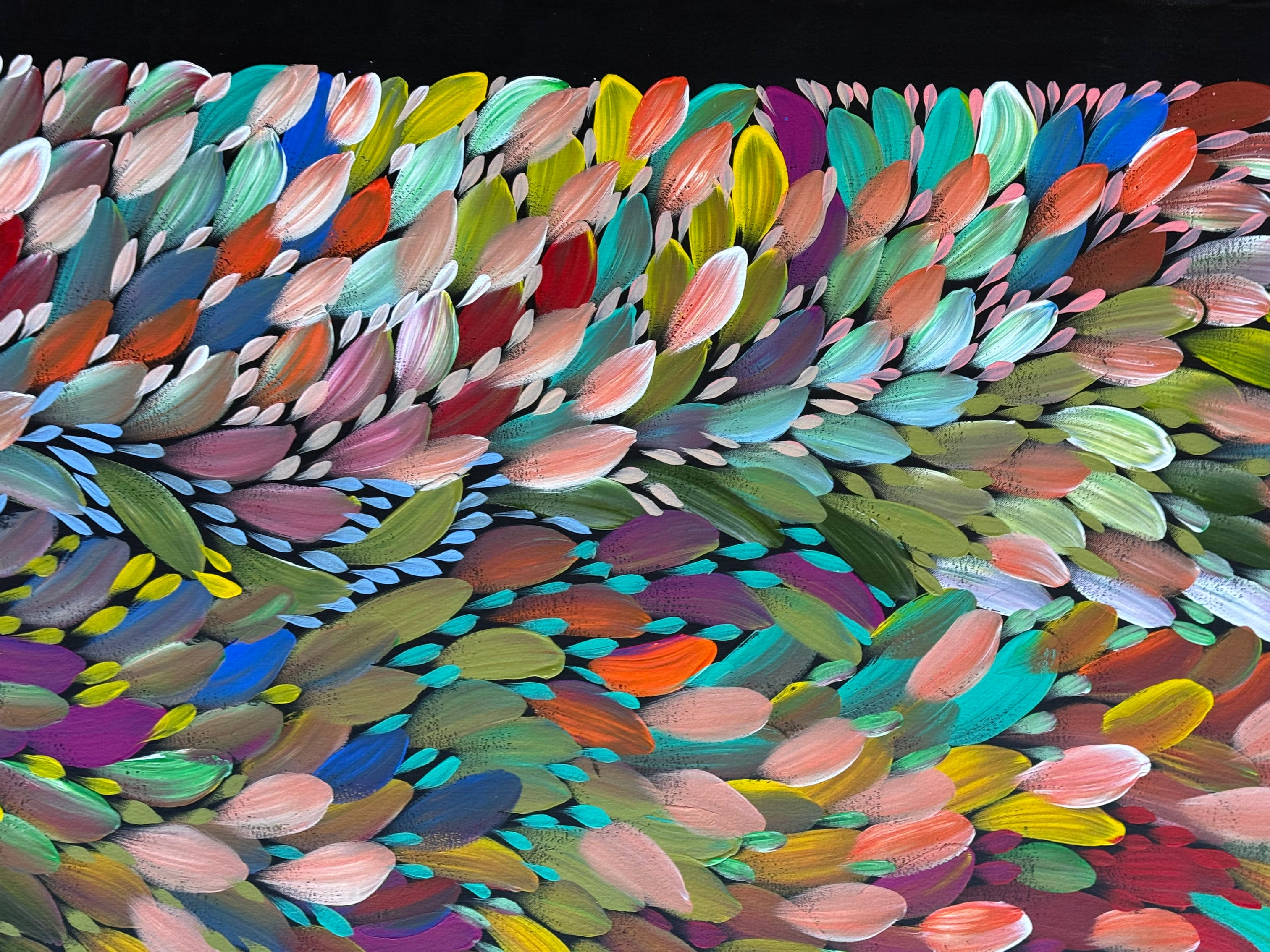 Louise Numina Napananka - Bush Medicine Leaves .41-24