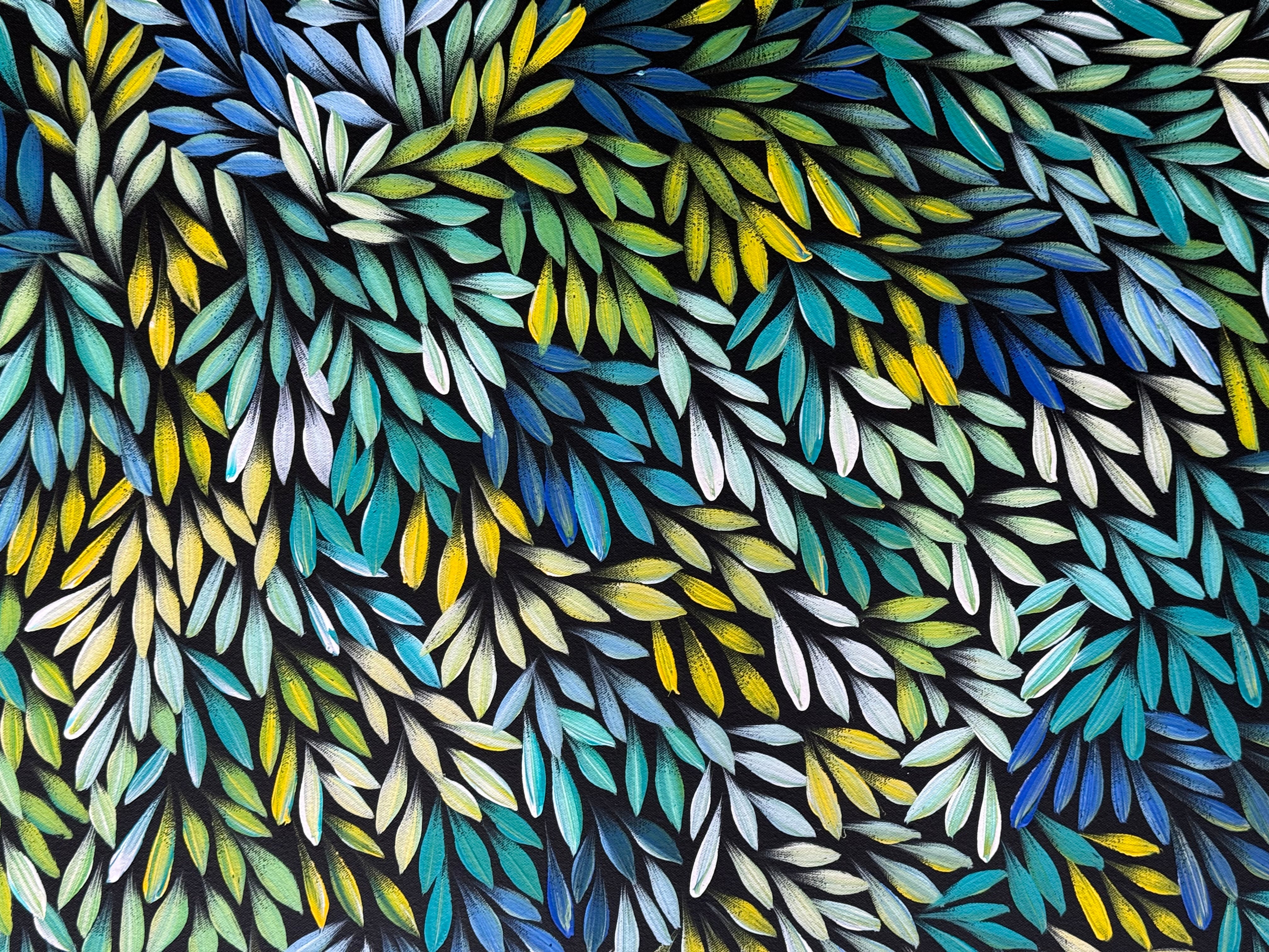 Sharon Numina - Bush Medicine Leaves .33-3
