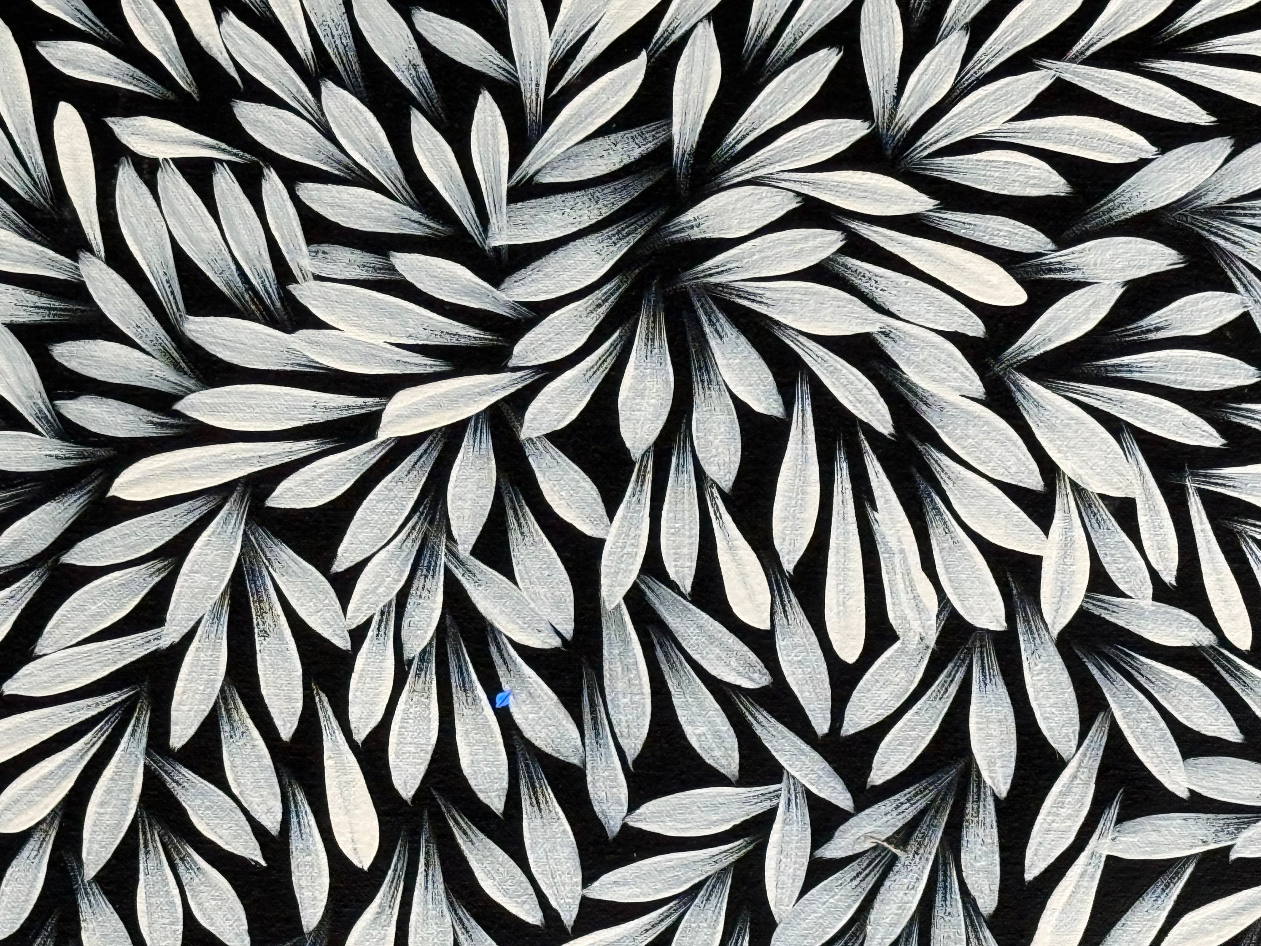 Sharon Numina - Bush Medicine Leaves .14-12