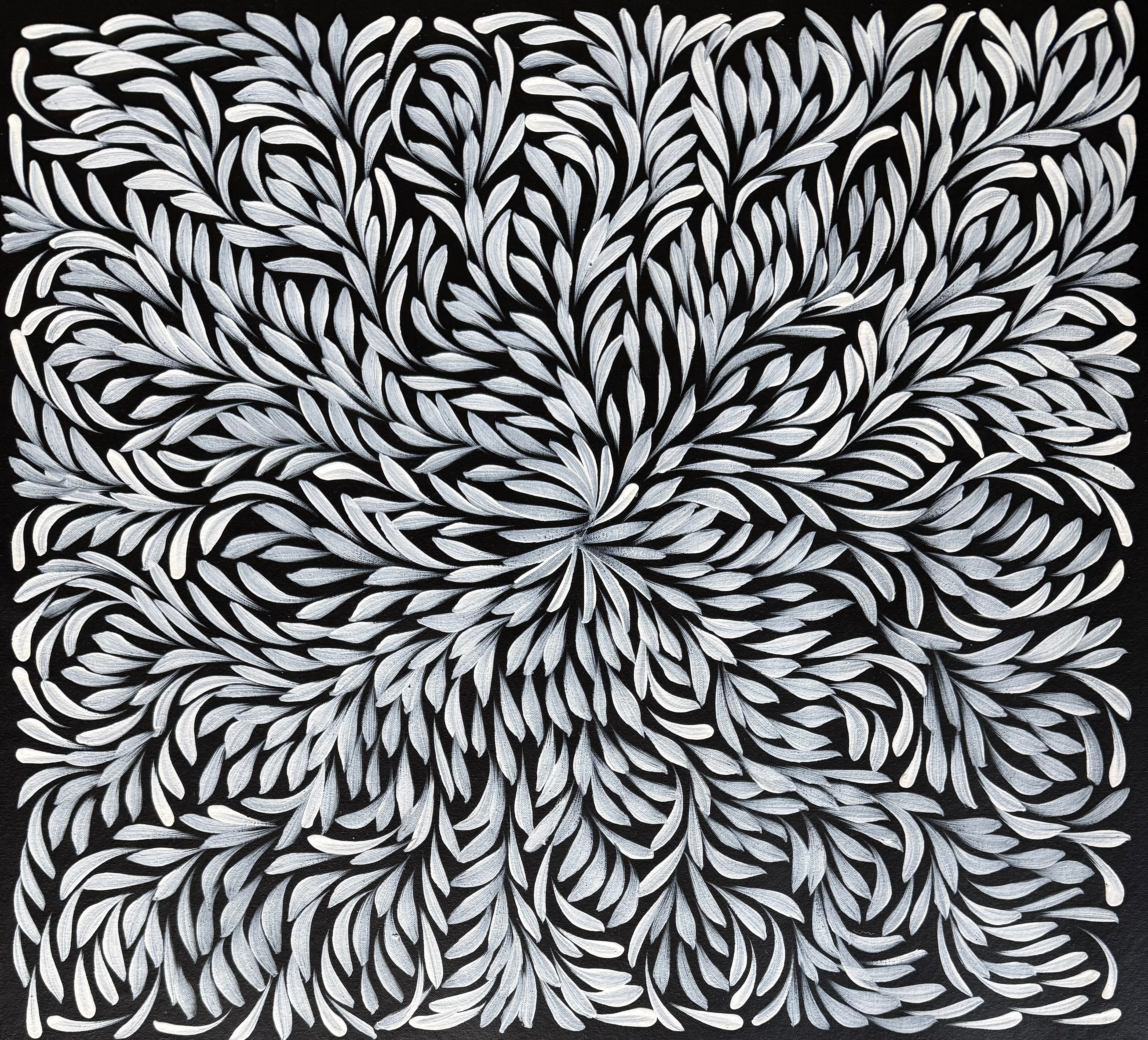 Louise Numina Napananka - Bush Medicine Leaves .16-50