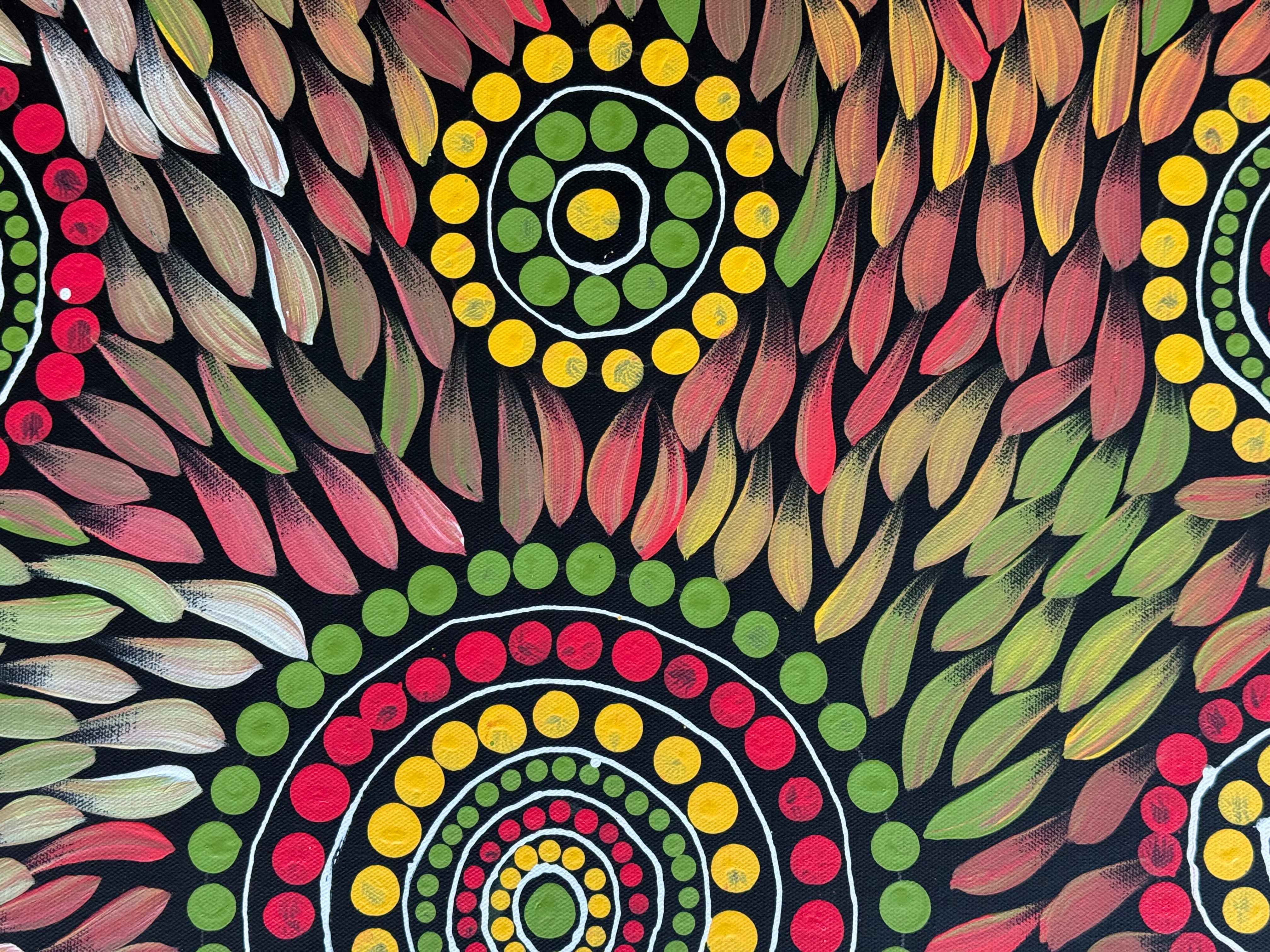 Sabina Gorey - Bush Medicine Leaves .04-3