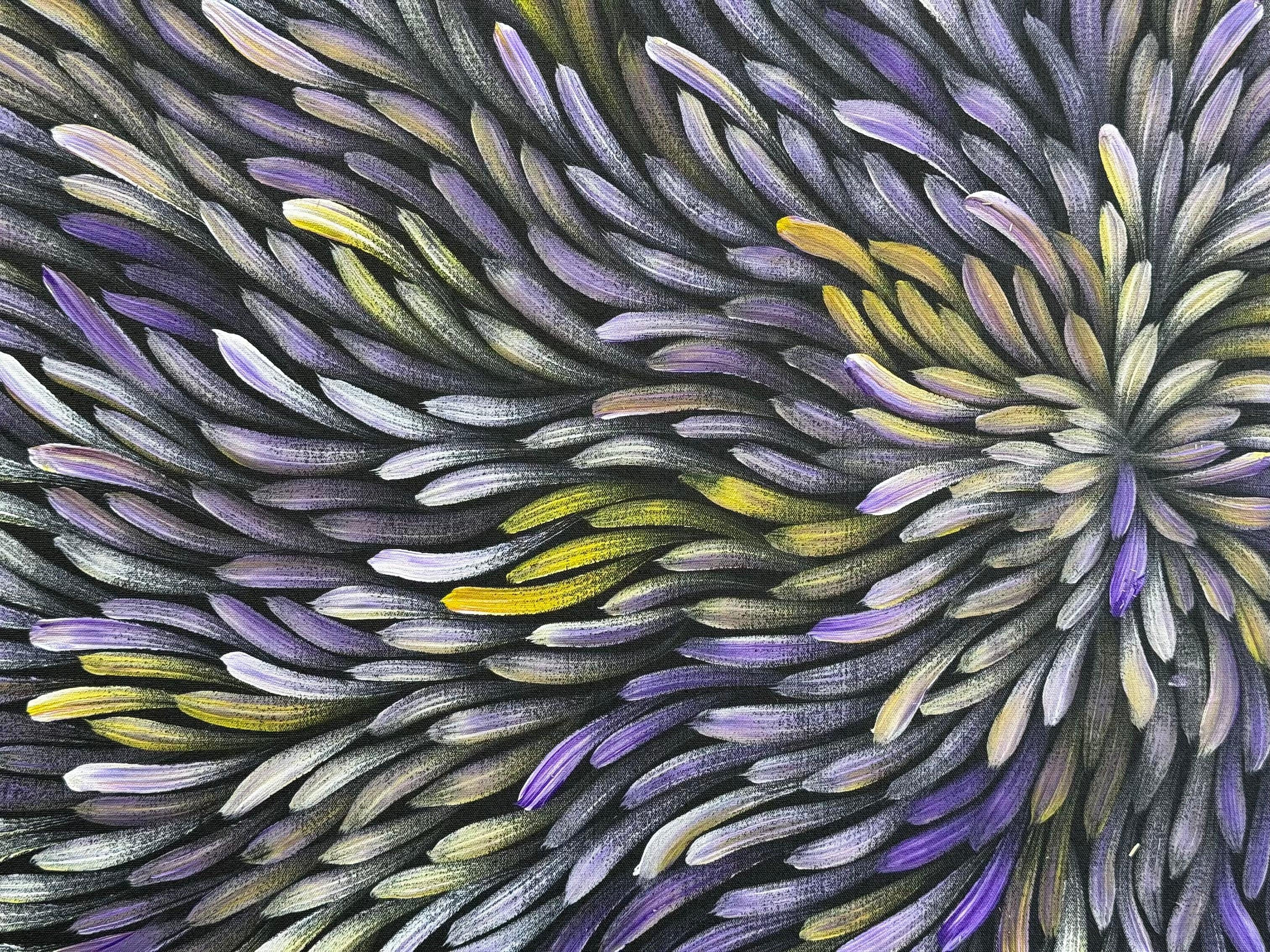 Maryanne Gibson - Bush Medicine .73-2