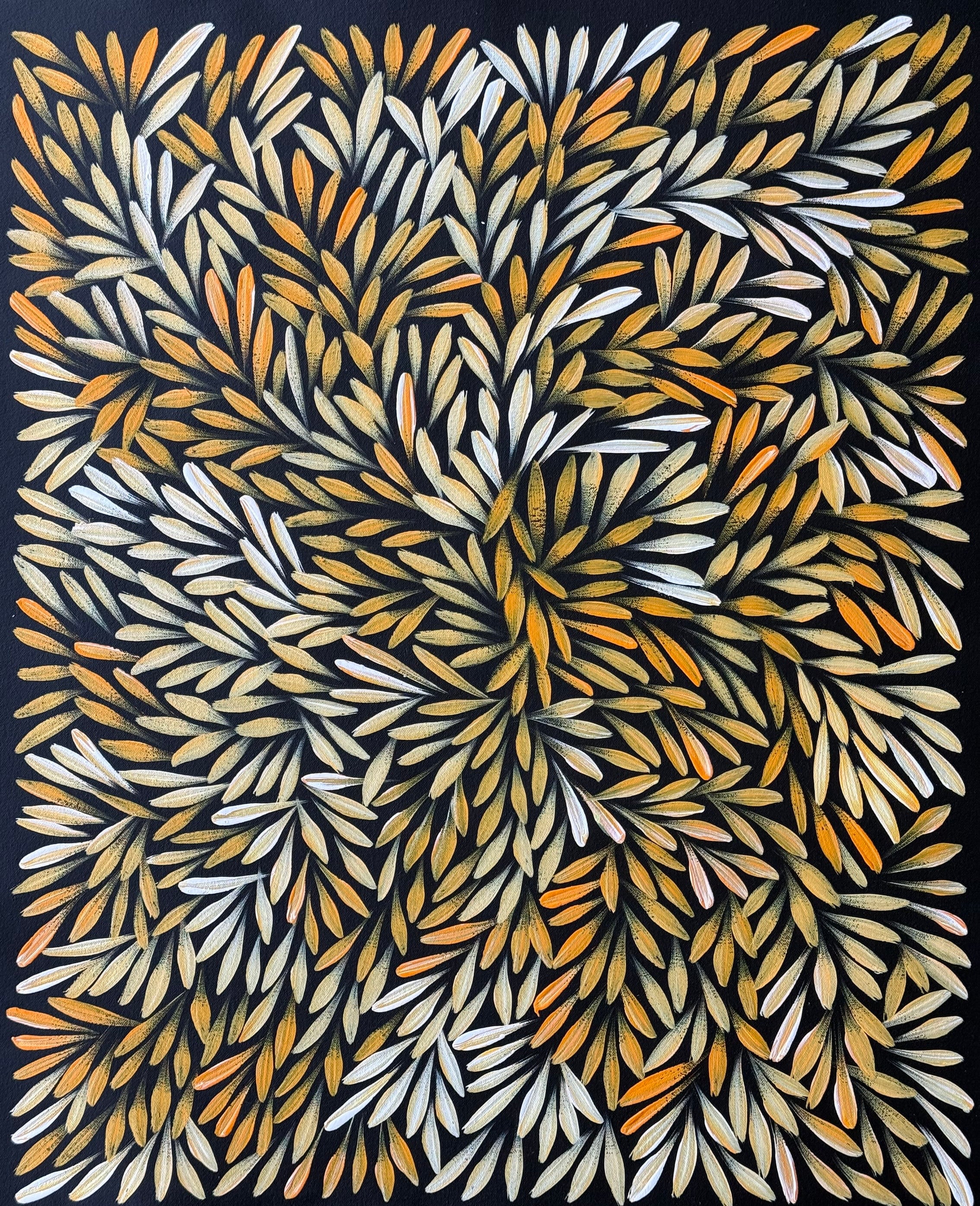 Sharon Numina - Bush Medicine Leaves - 65x52cm .02-25