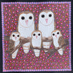 Kathleen Buzzacott - Barn Owls - 30x30cm .74-8