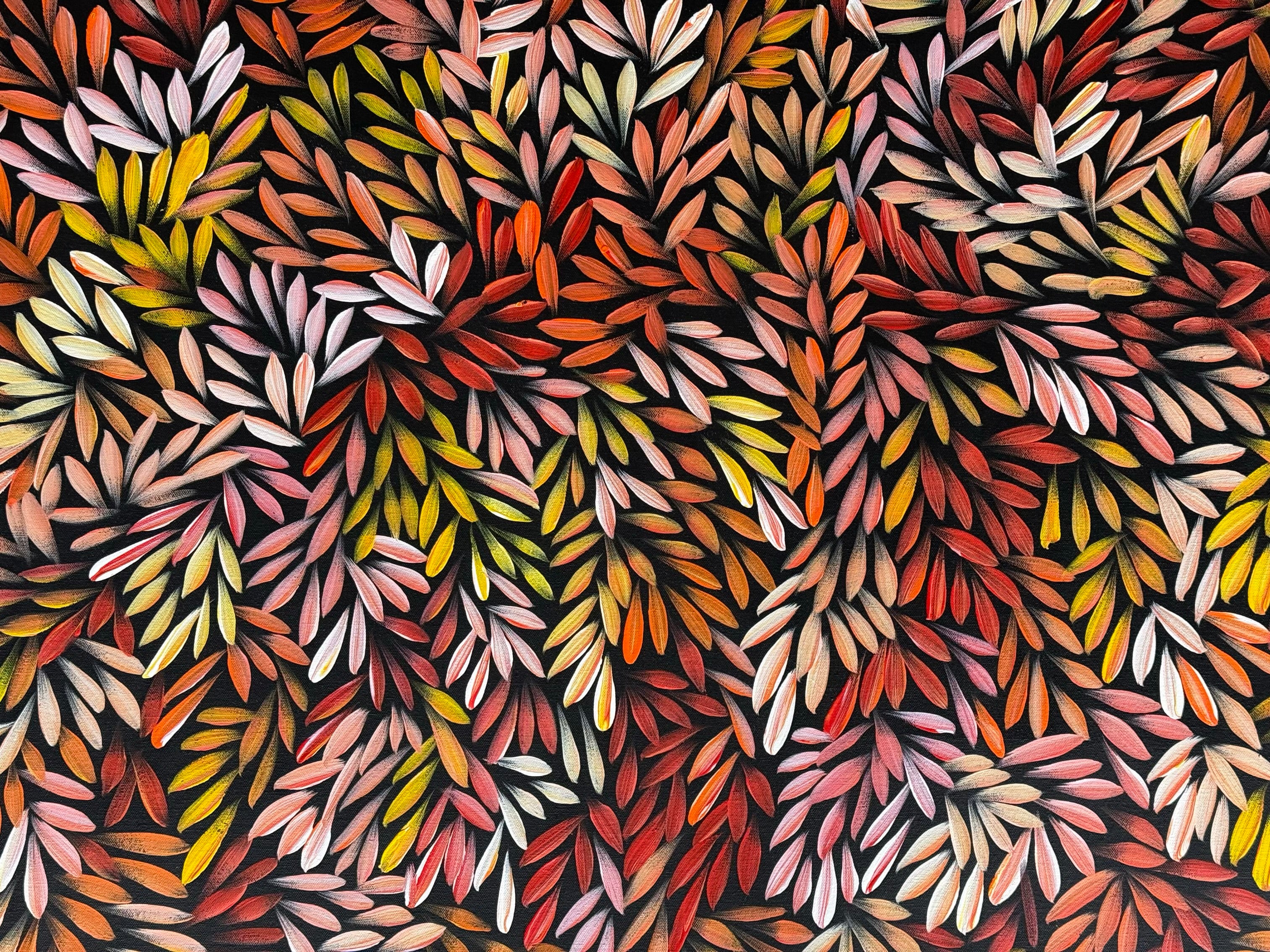 Sharon Numina - Bush Medicine Leaves .50-5