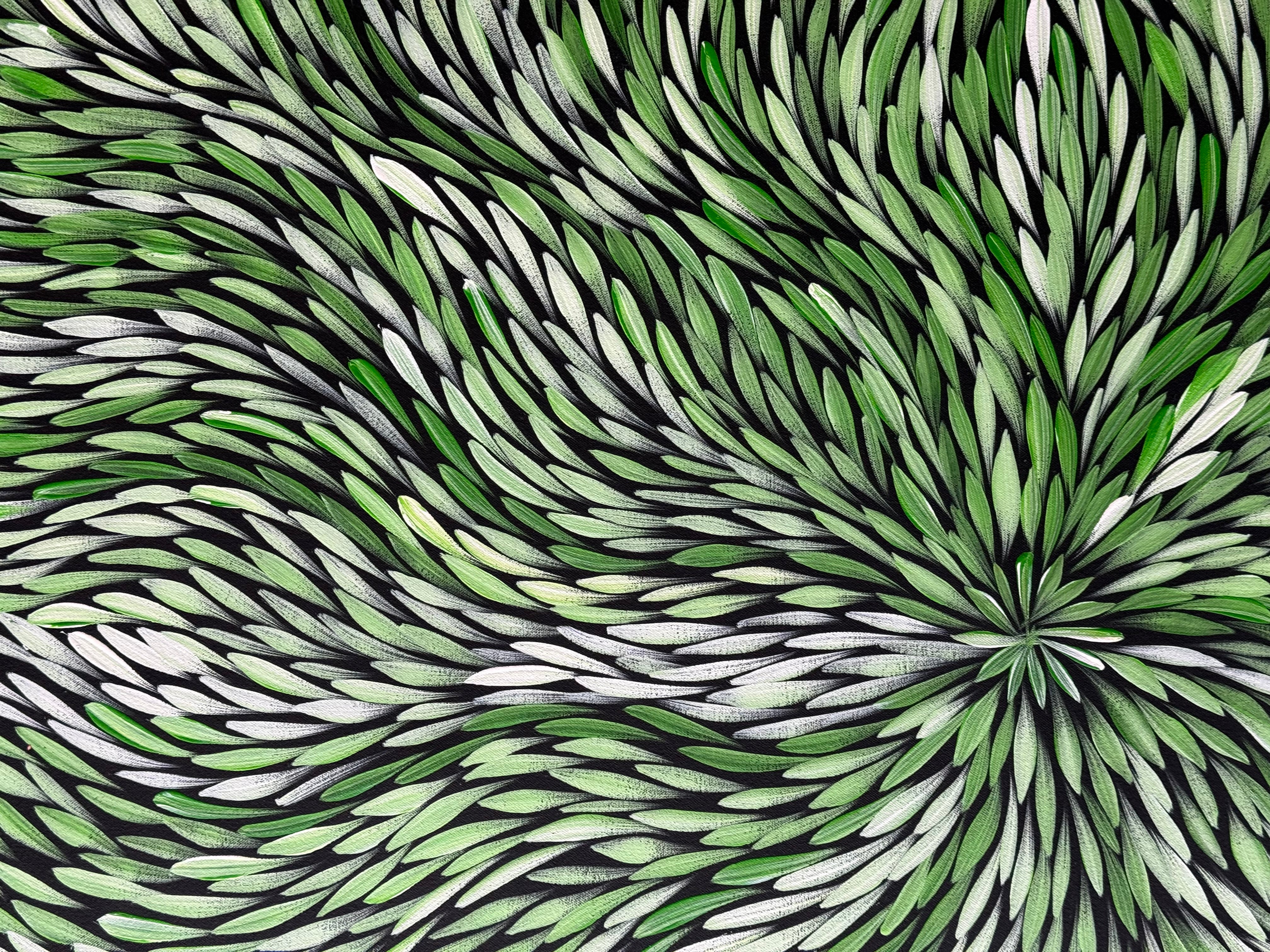 Sharon Numina - Bush Medicine Leaves .33-4