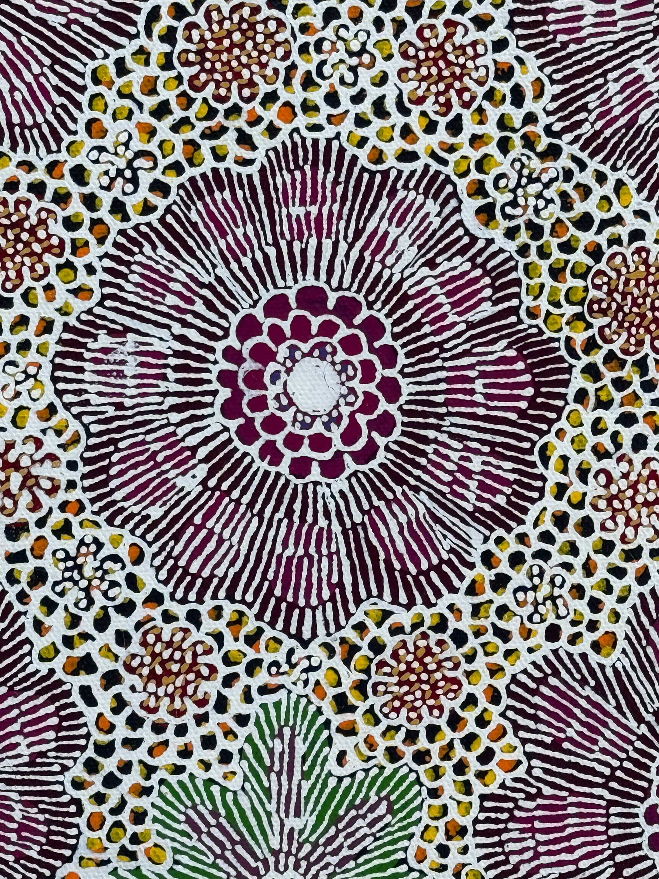 Michelle Lion Kngwarreye - Ilyarnayt - Acacia Flower - 30x30cm .48-21