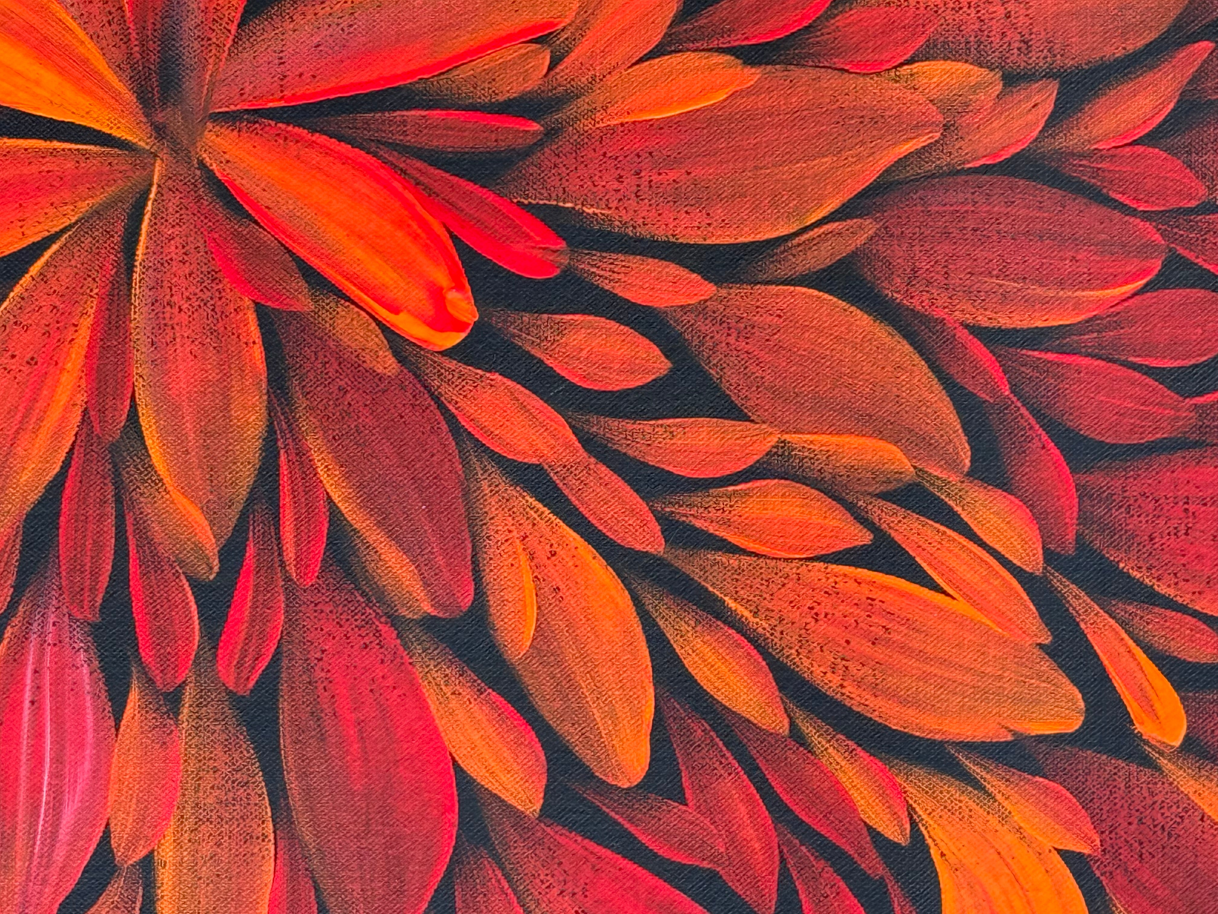 Louise Numina Napananka - Bush Medicine Leaves .57-45