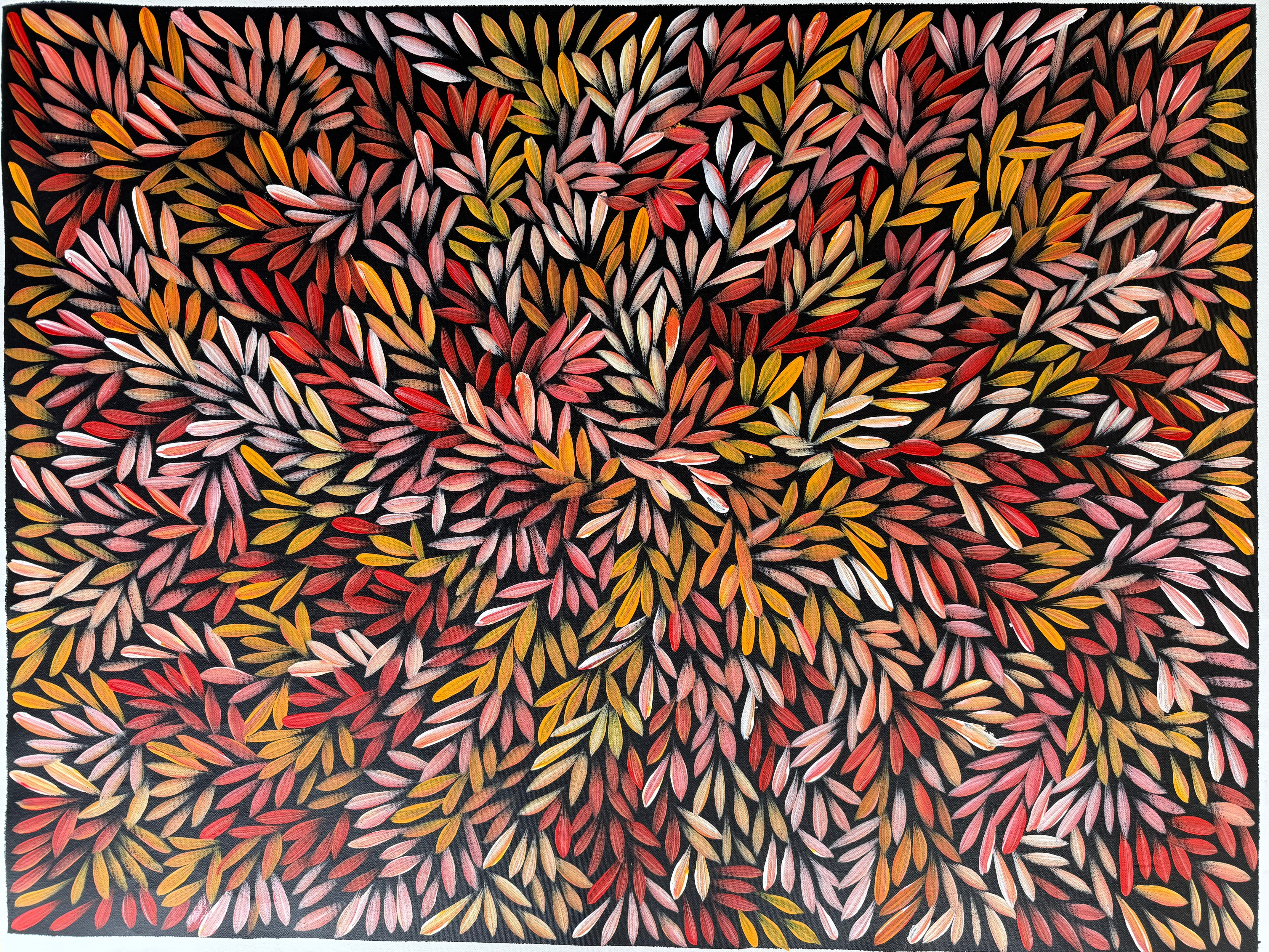 Sharon Numina - Bush Medicine Leaves - 70x94cm .14-45