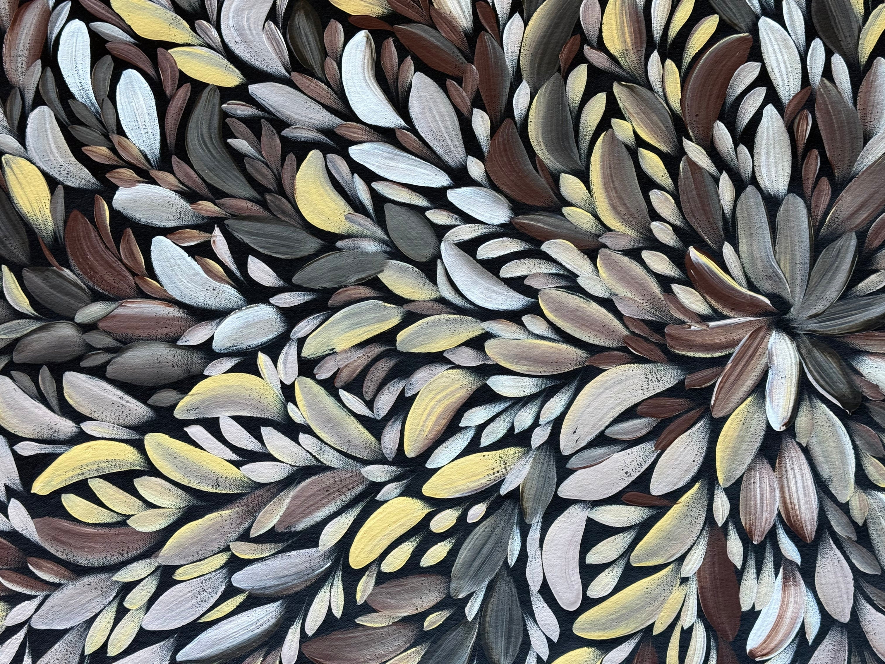 Louise Numina Napananka - Bush Medicine Leaves .80-4