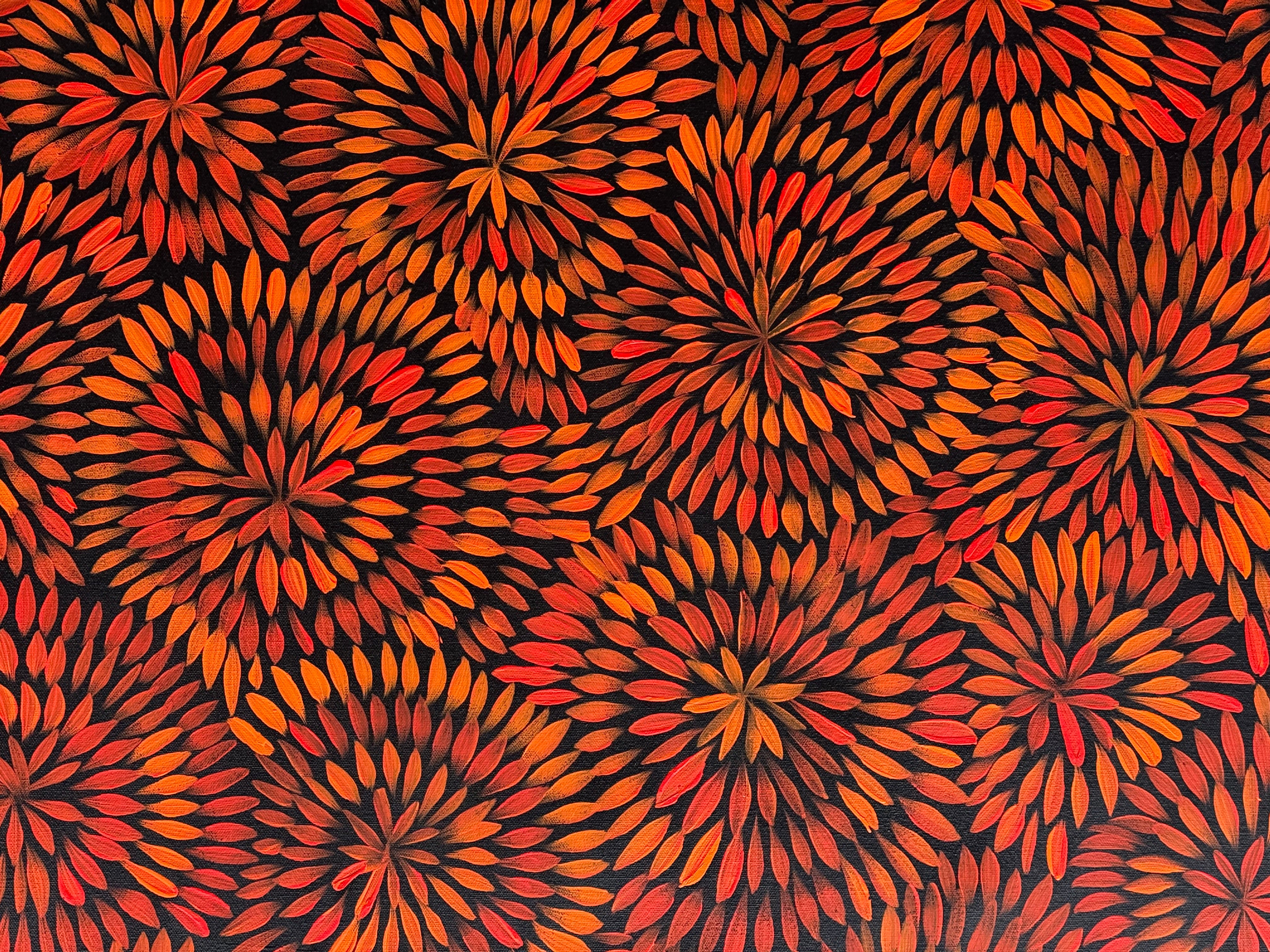 Sharon Numina - Bush Medicine Flowers .68-8