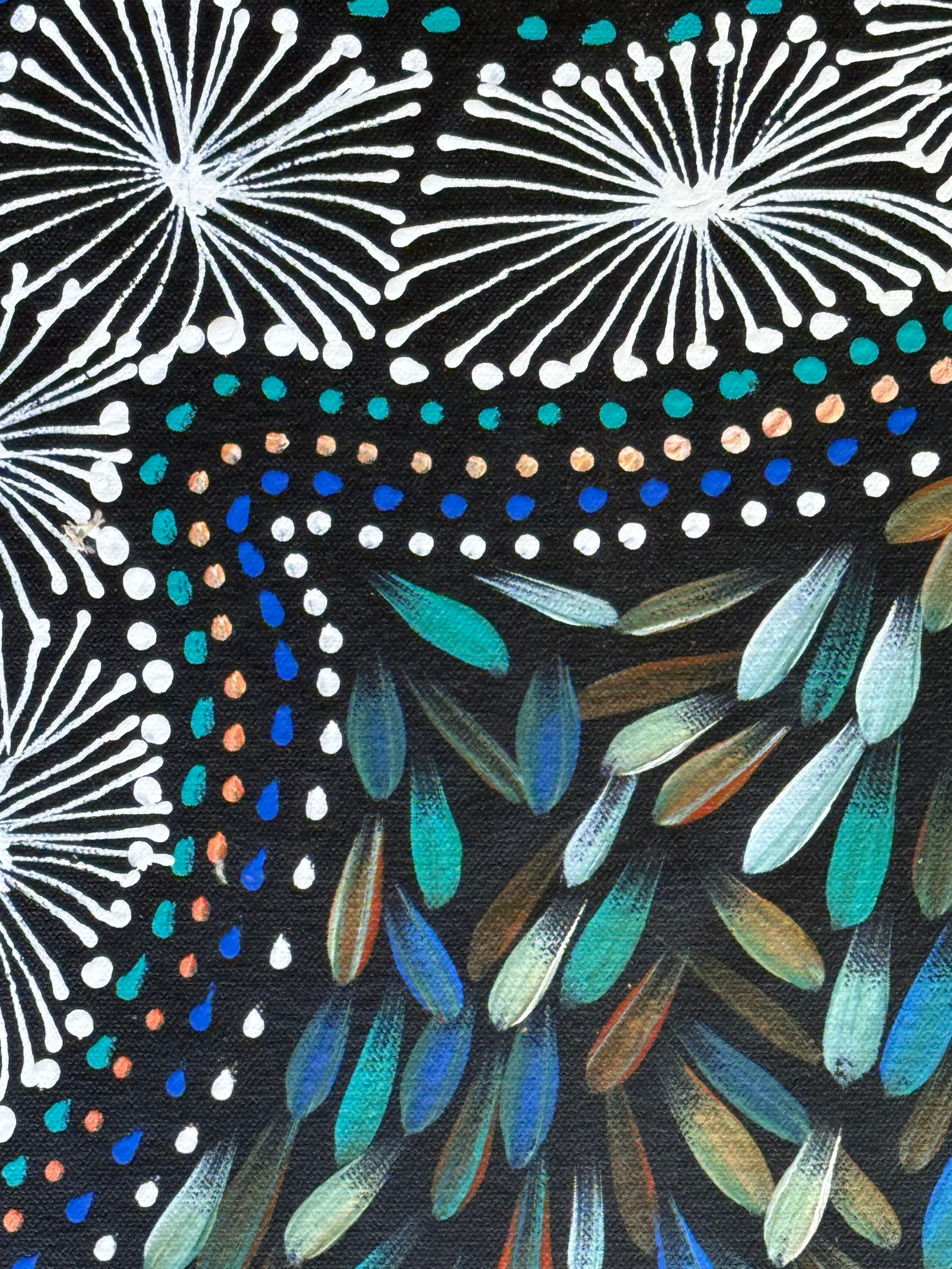 Selina Numina Kamprina - Seeds and Waterholes .92-16