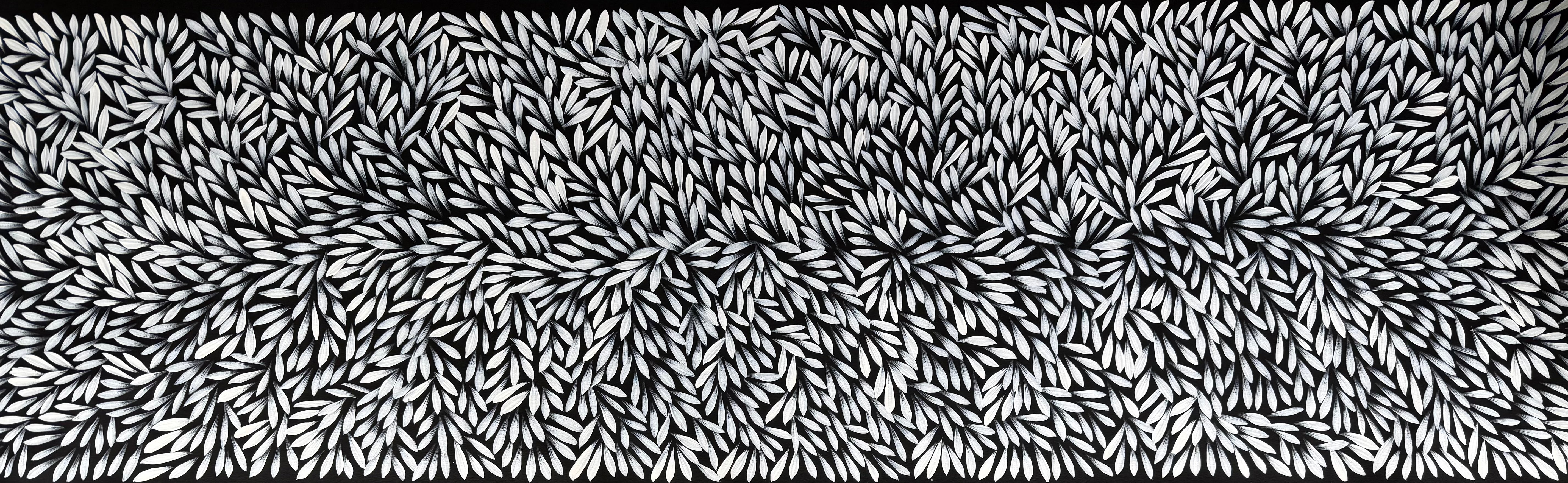 Sharon Numina - Bush Medicine Leaves .50-8