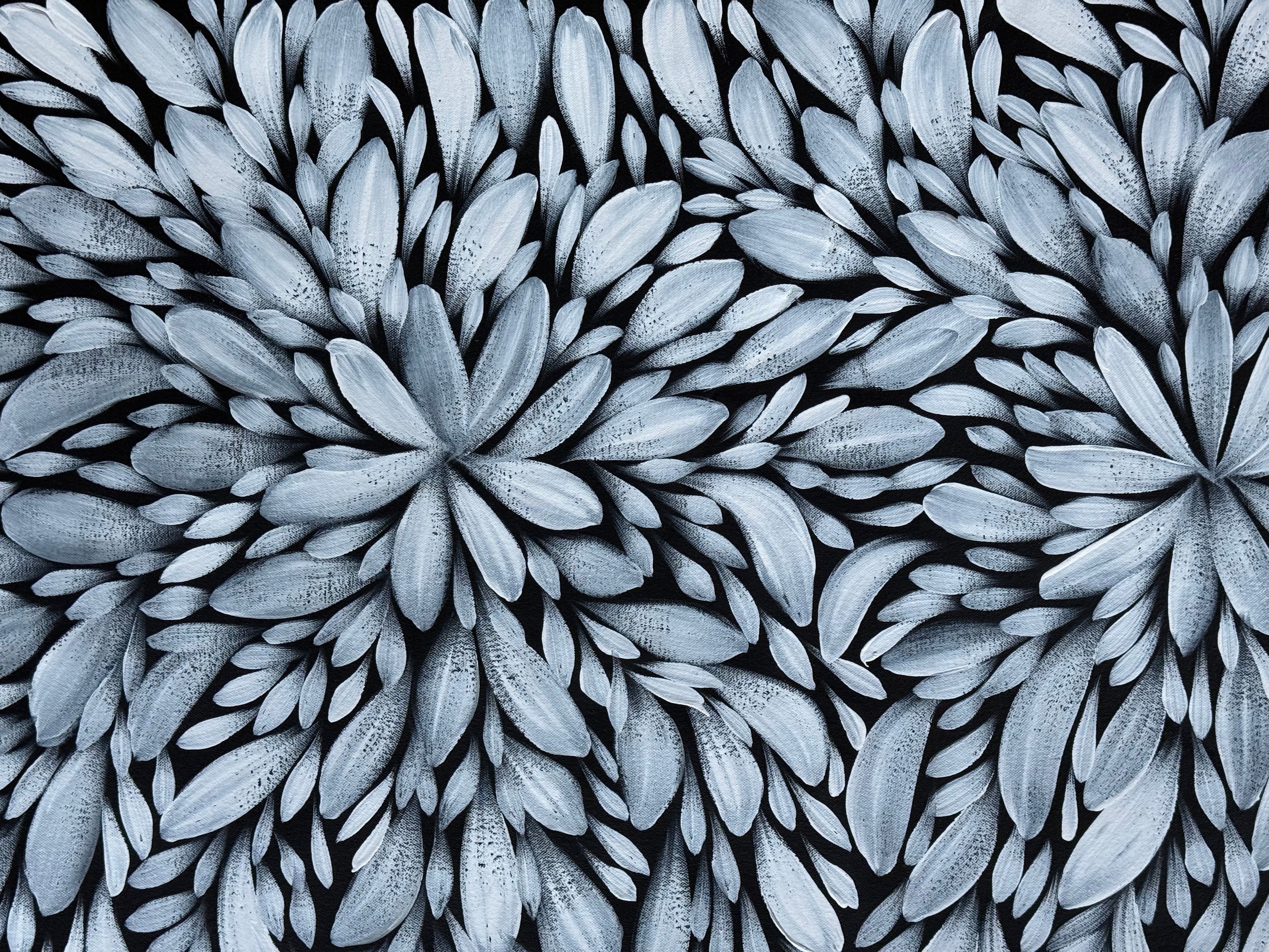 Louise Numina Napananka - Bush Medicine Leaves .16-33
