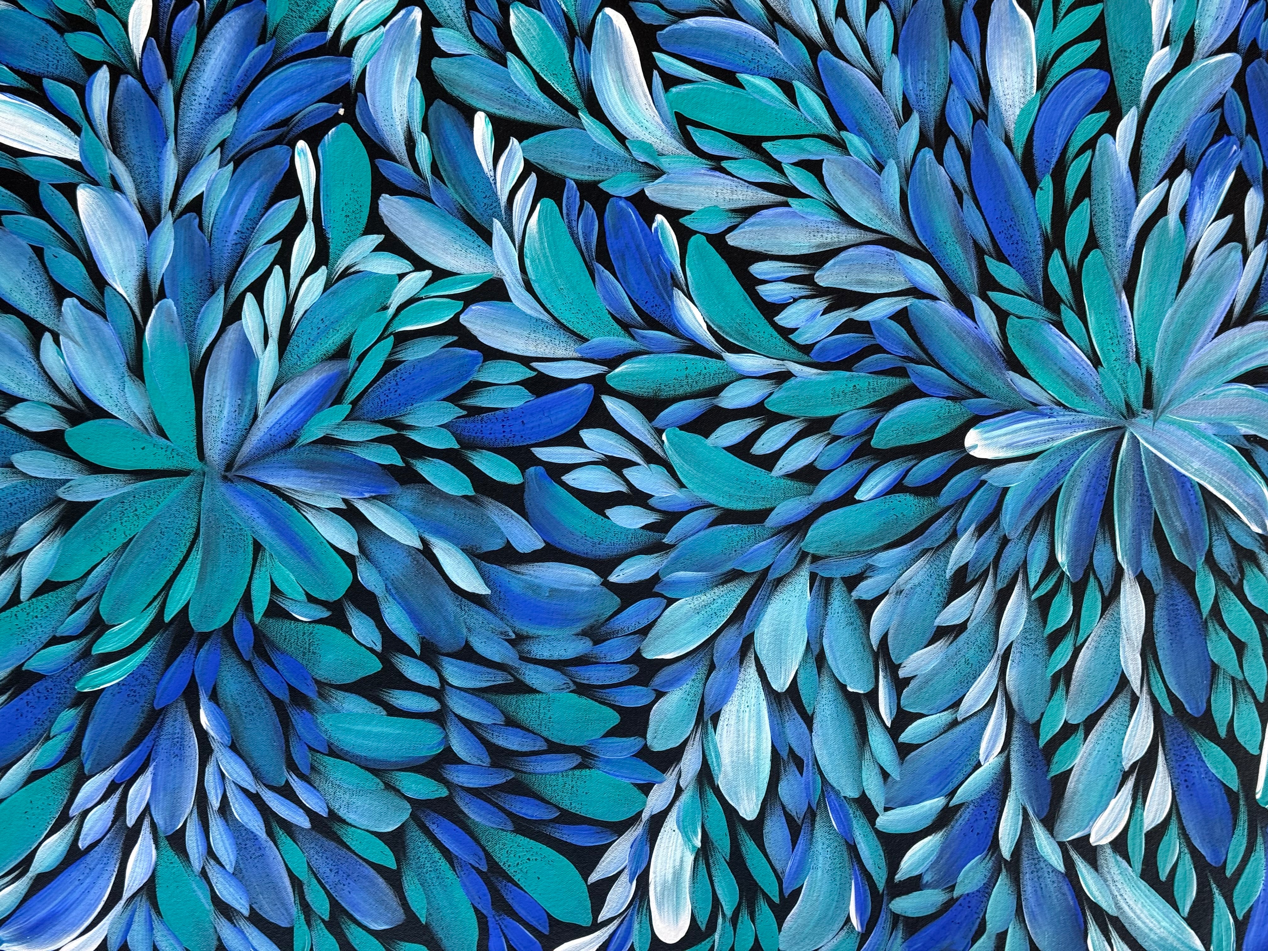 Louise Numina Napananka - Bush Medicine Leaves .09-3