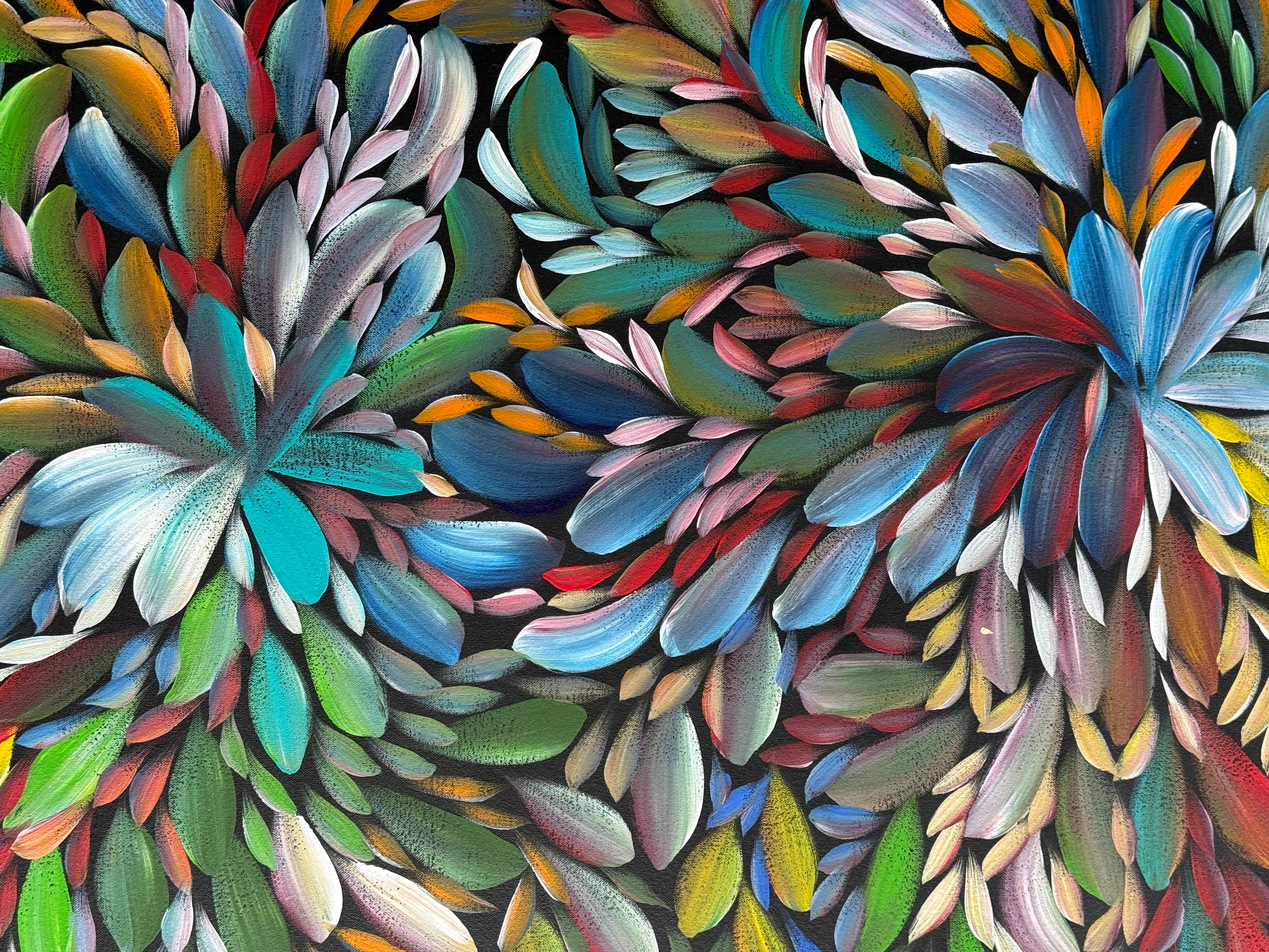 Louise Numina Napananka - Bush Medicine Leaves .22-38