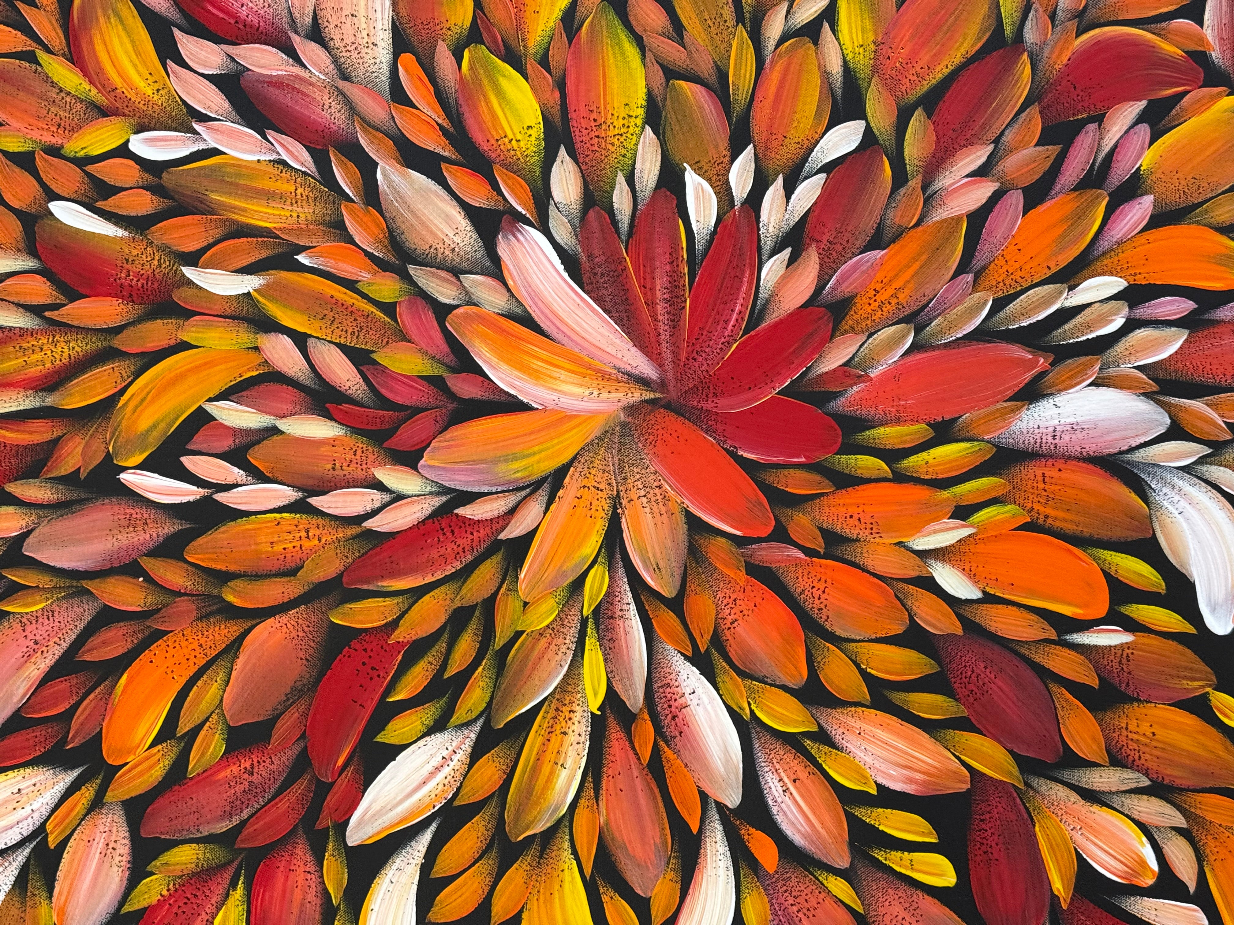 Louise Numina Napananka - Bush Medicine Leaves .21-13