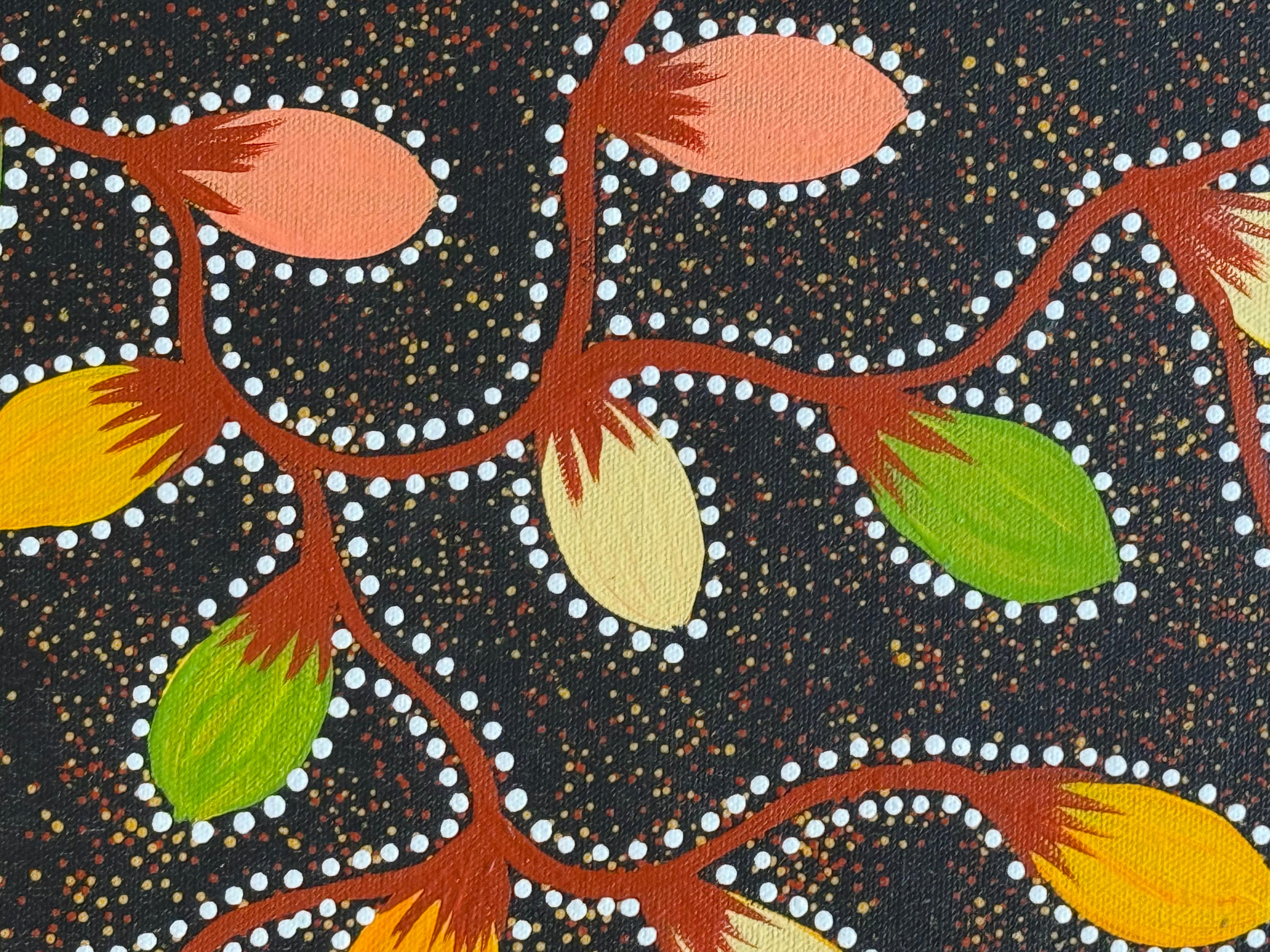 Jacinta Numina Waugh - Bush Tomatoes - 38x52cm .30-4