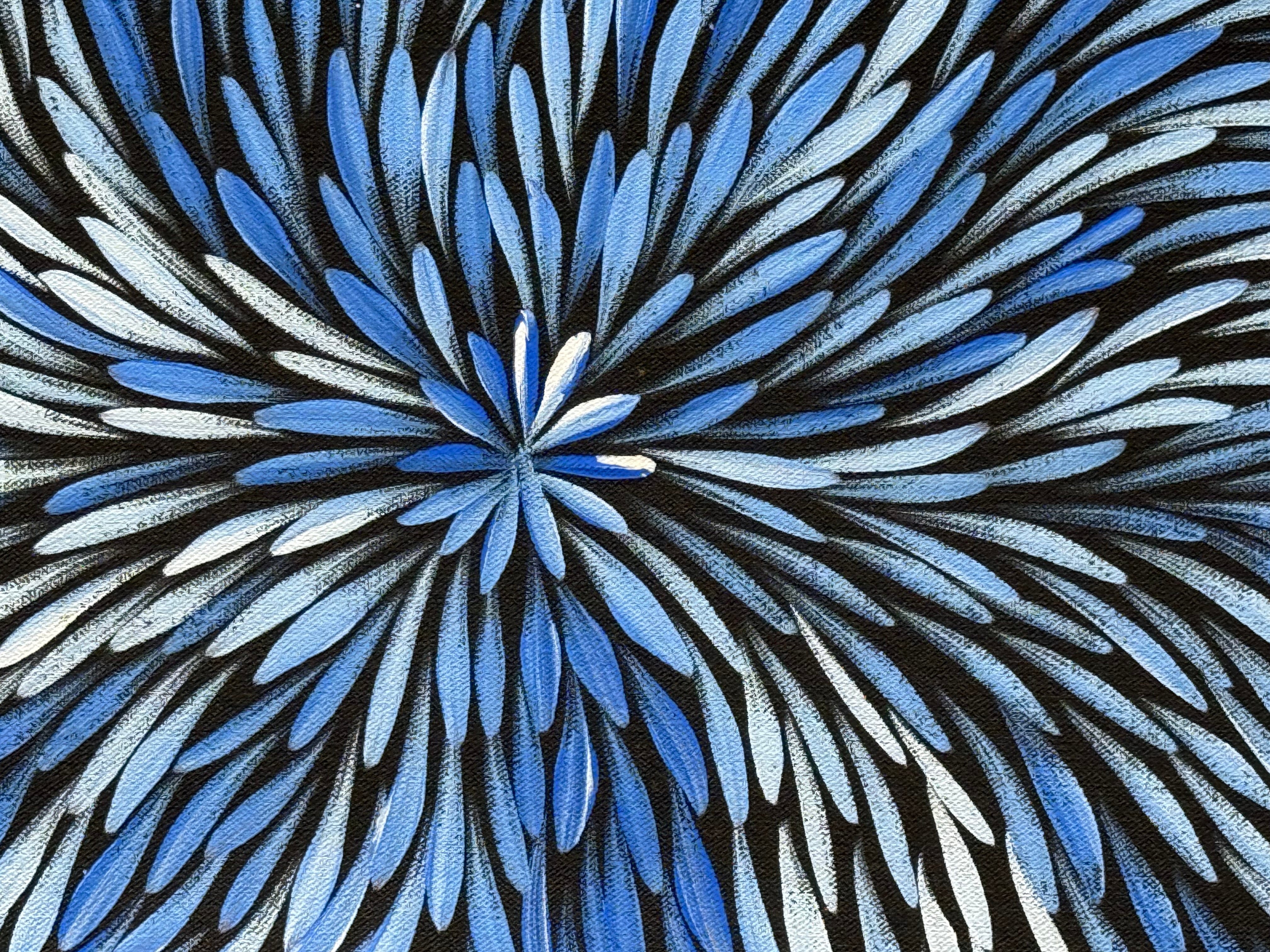 Sharon Numina - Bush Medicine Leaves .95-11