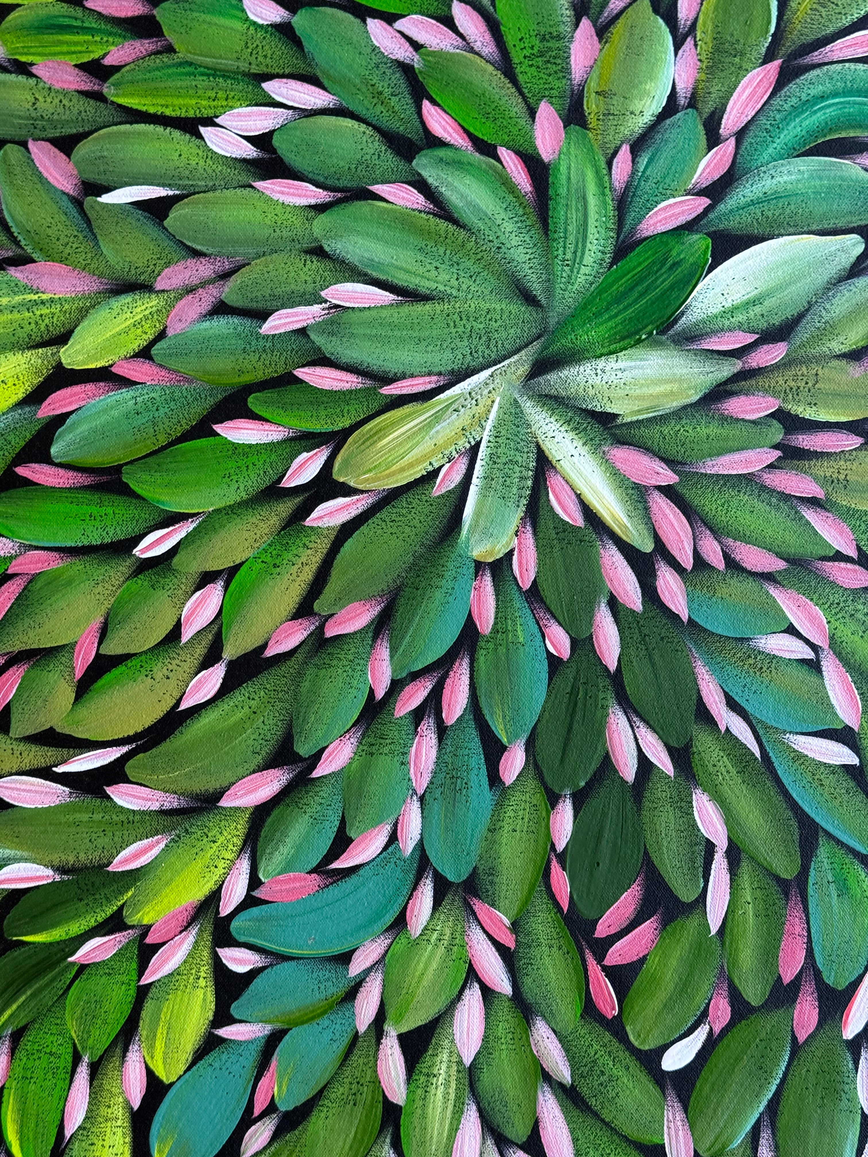 Louise Numina Napananka - Bush Medicine Leaves .22-29