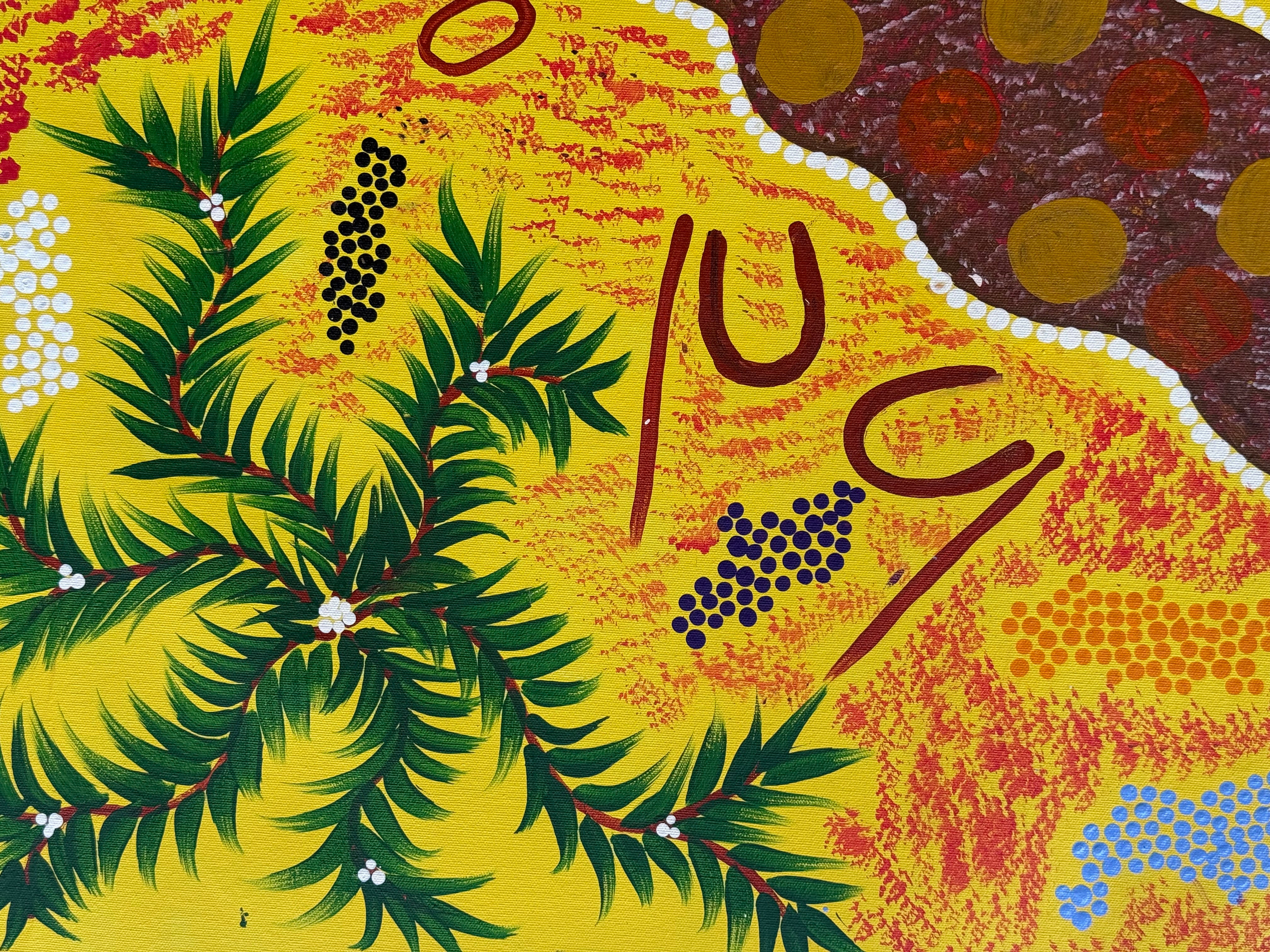 Salrena Dixon - Bush Tomatos, Bush Spinifex, Women Sitting Around the Bush Tucker .04-11