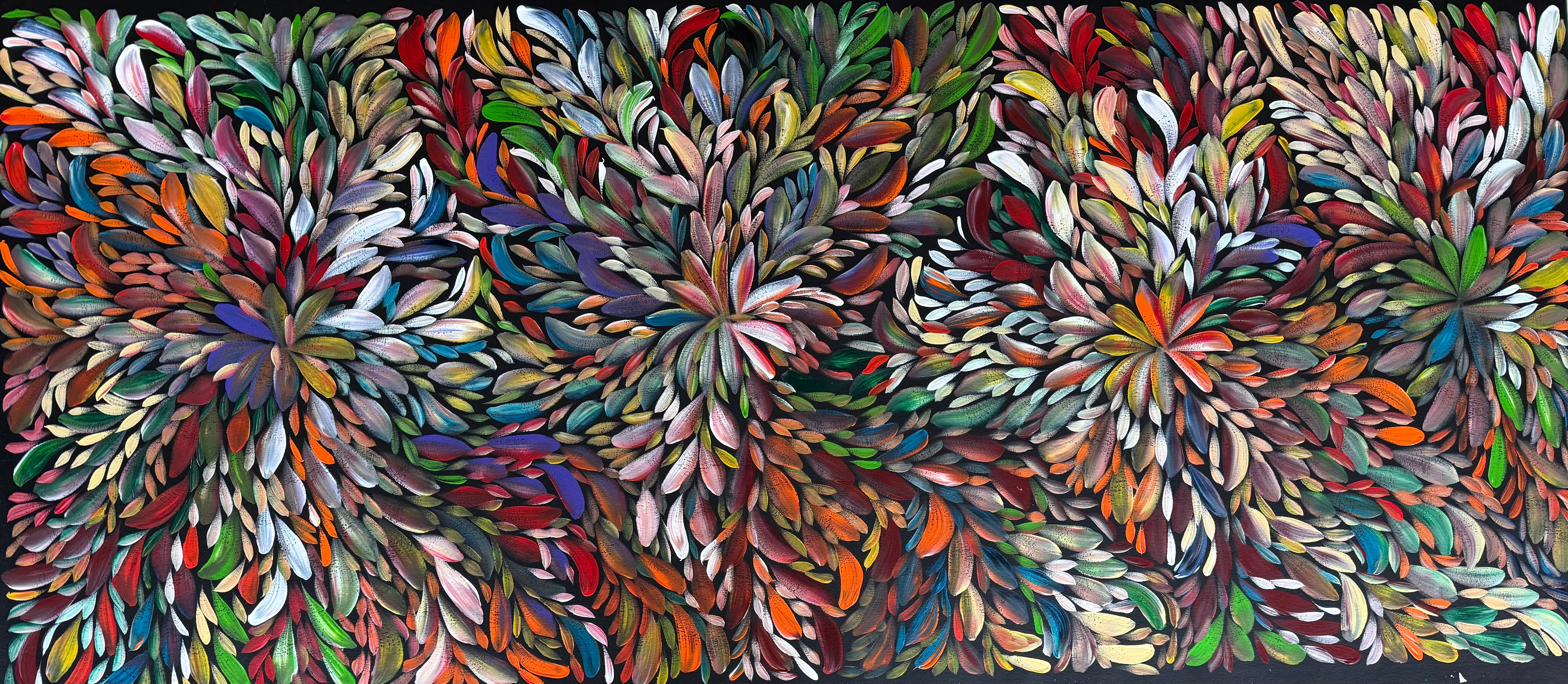 Louise Numina Napananka - Bush Medicine Leaves .27-7