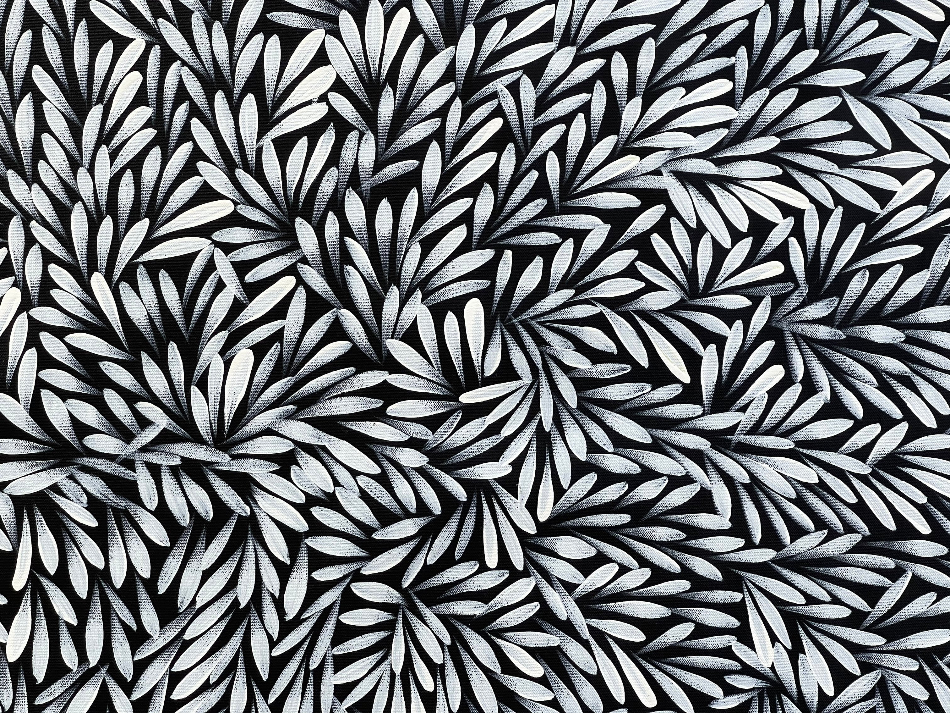 Sharon Numina - Bush Medicine Leaves - 143x66 .28-23