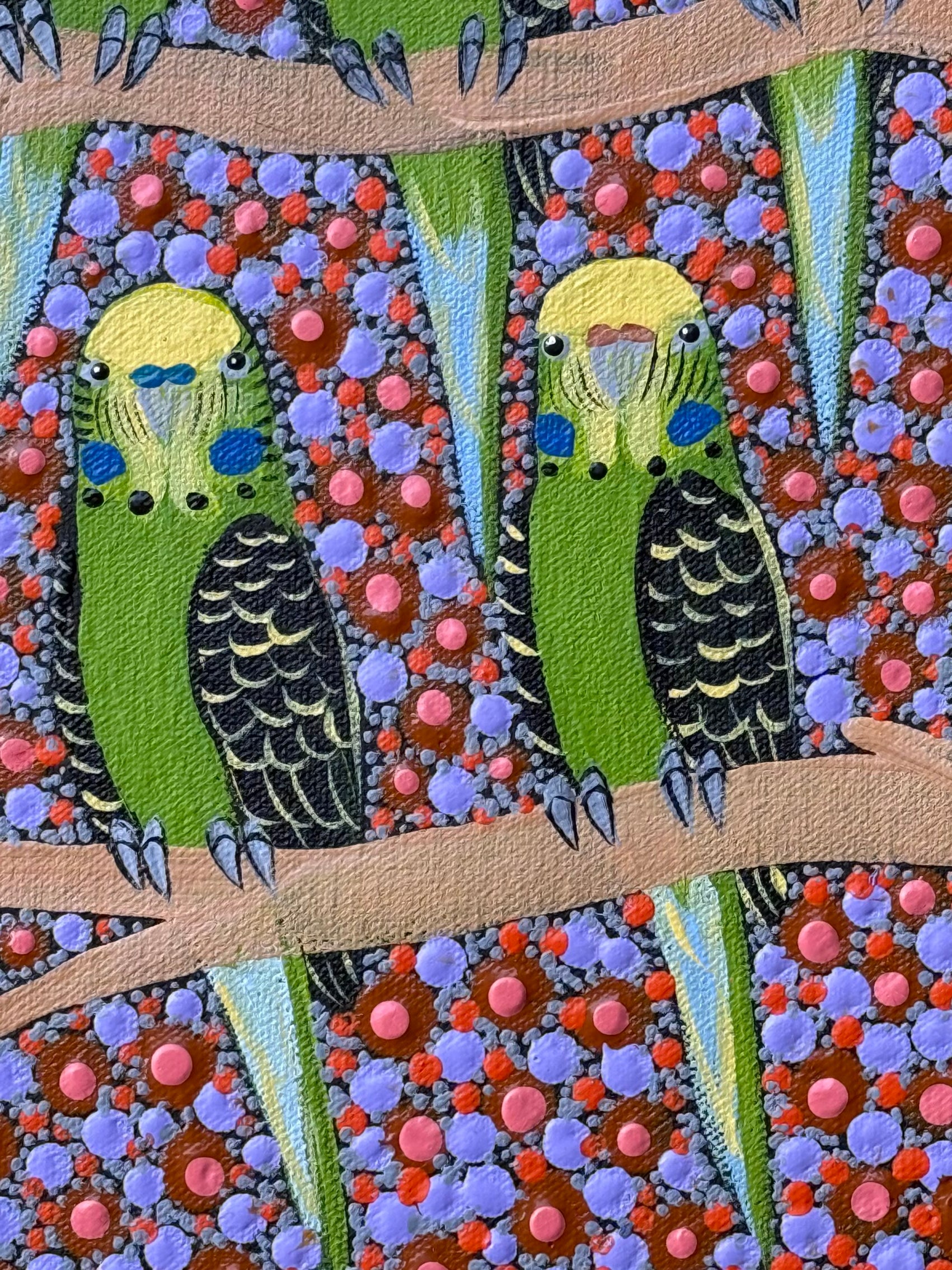 Kathleen Buzzacott - Budgies .53-3