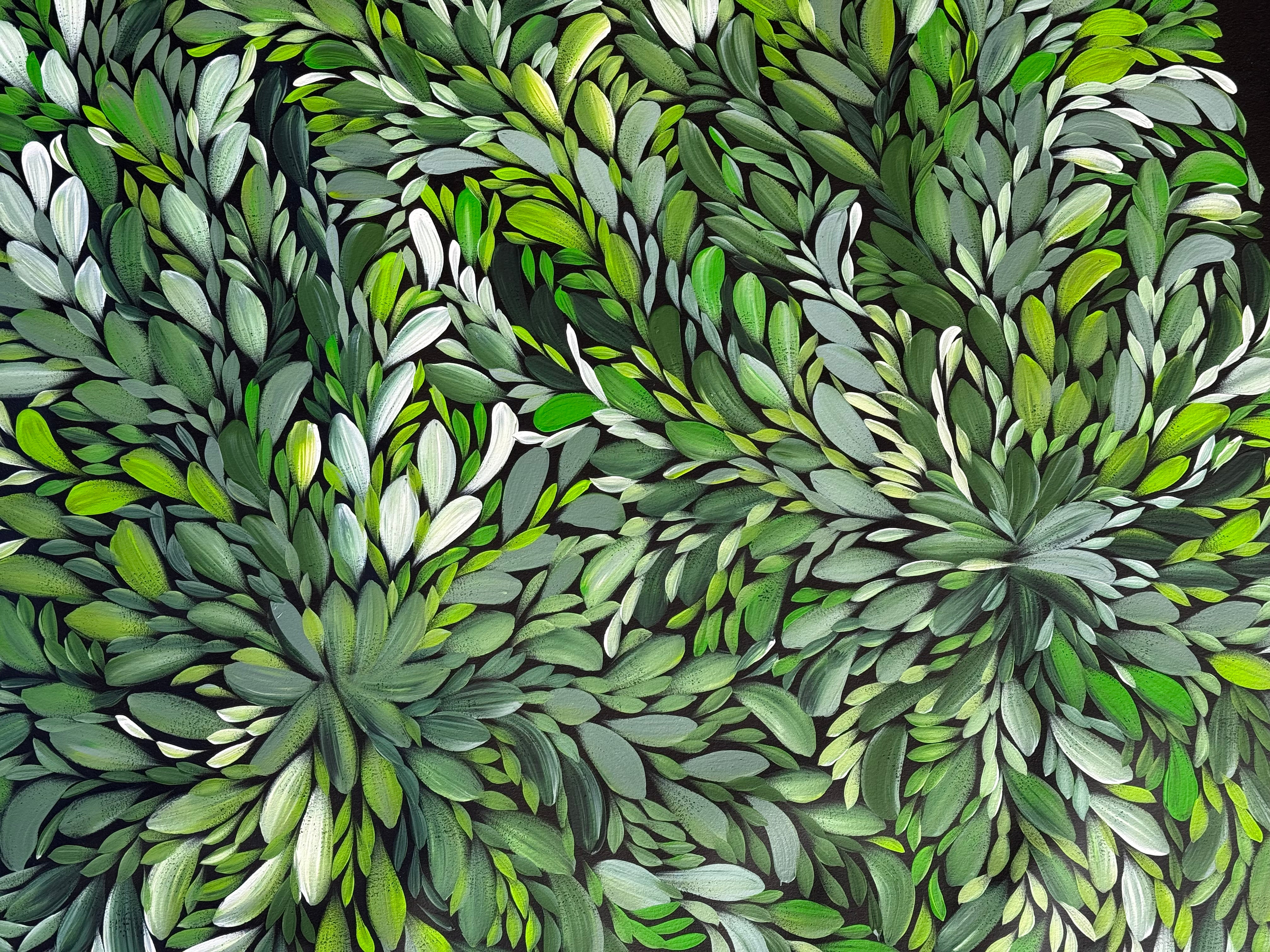 Louise Numina Napananka - Bush Medicine Leaves .18-13